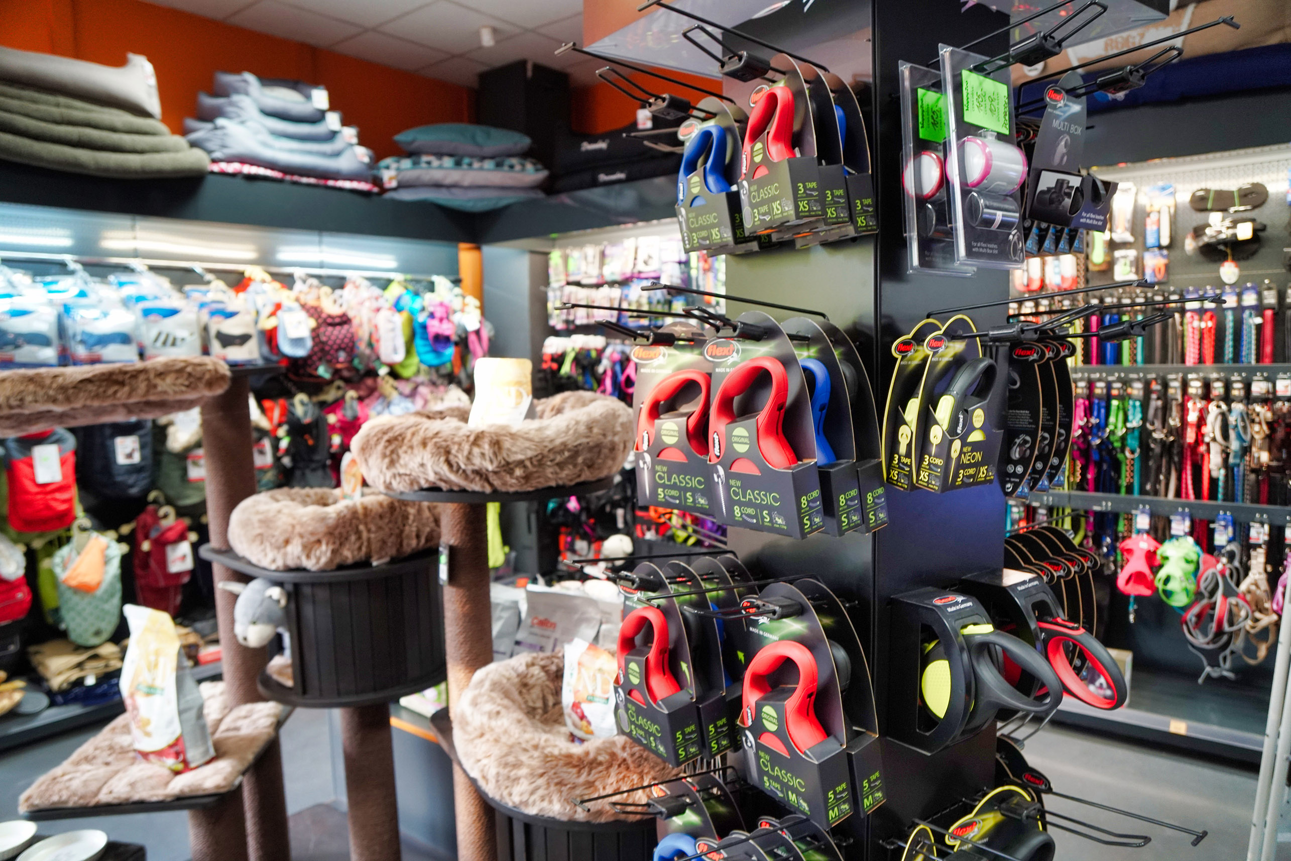 HappyZoo - Galaxie foto 4