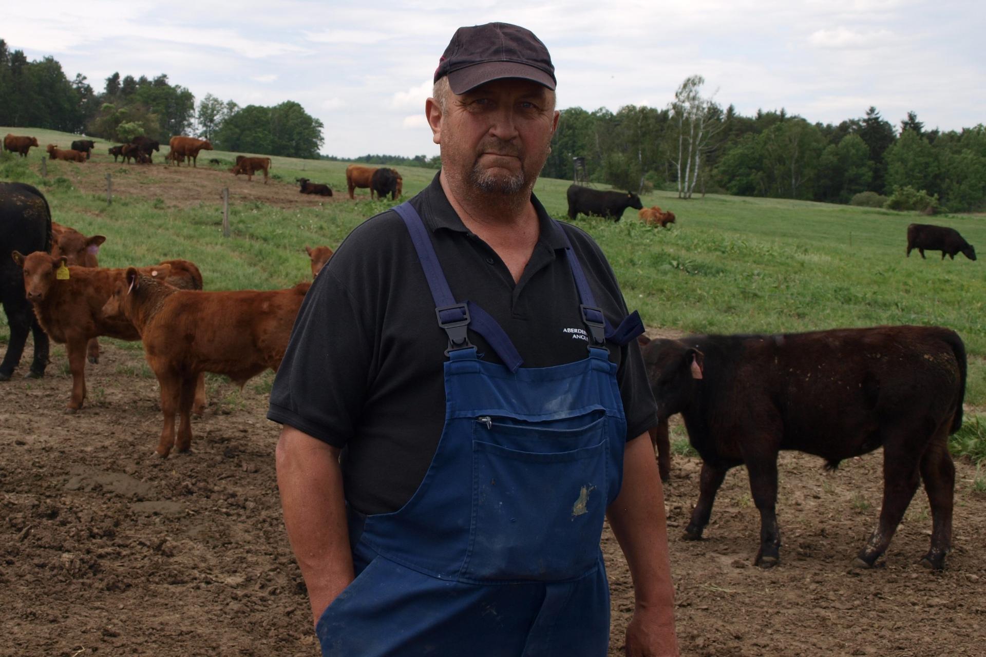 Vladimír Lepša - chov skotu