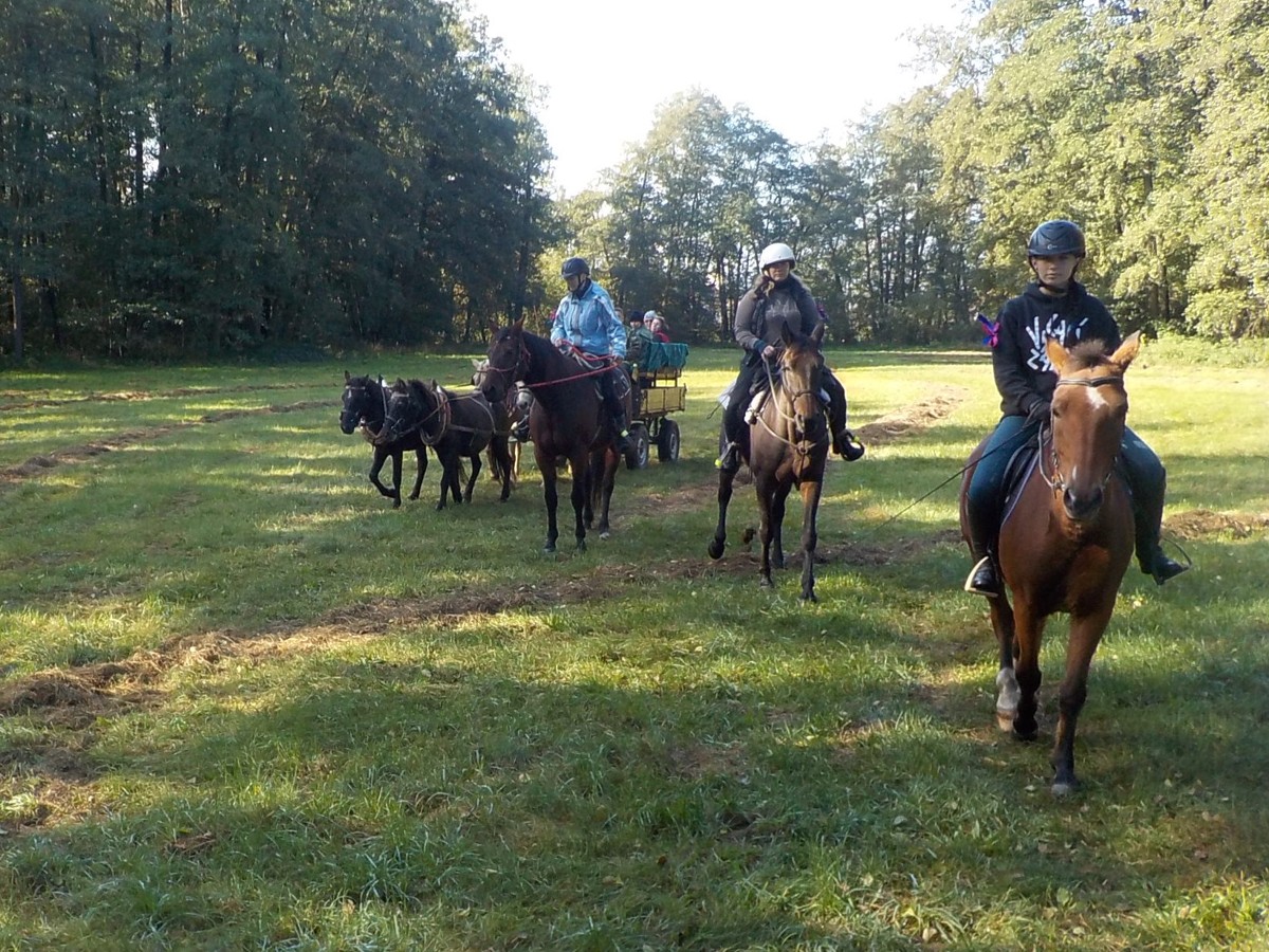 Stáj Bospor foto 3
