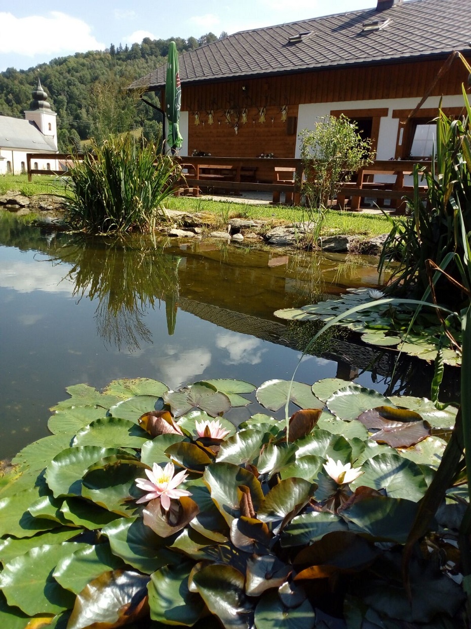 Penzion U Bořka foto 3