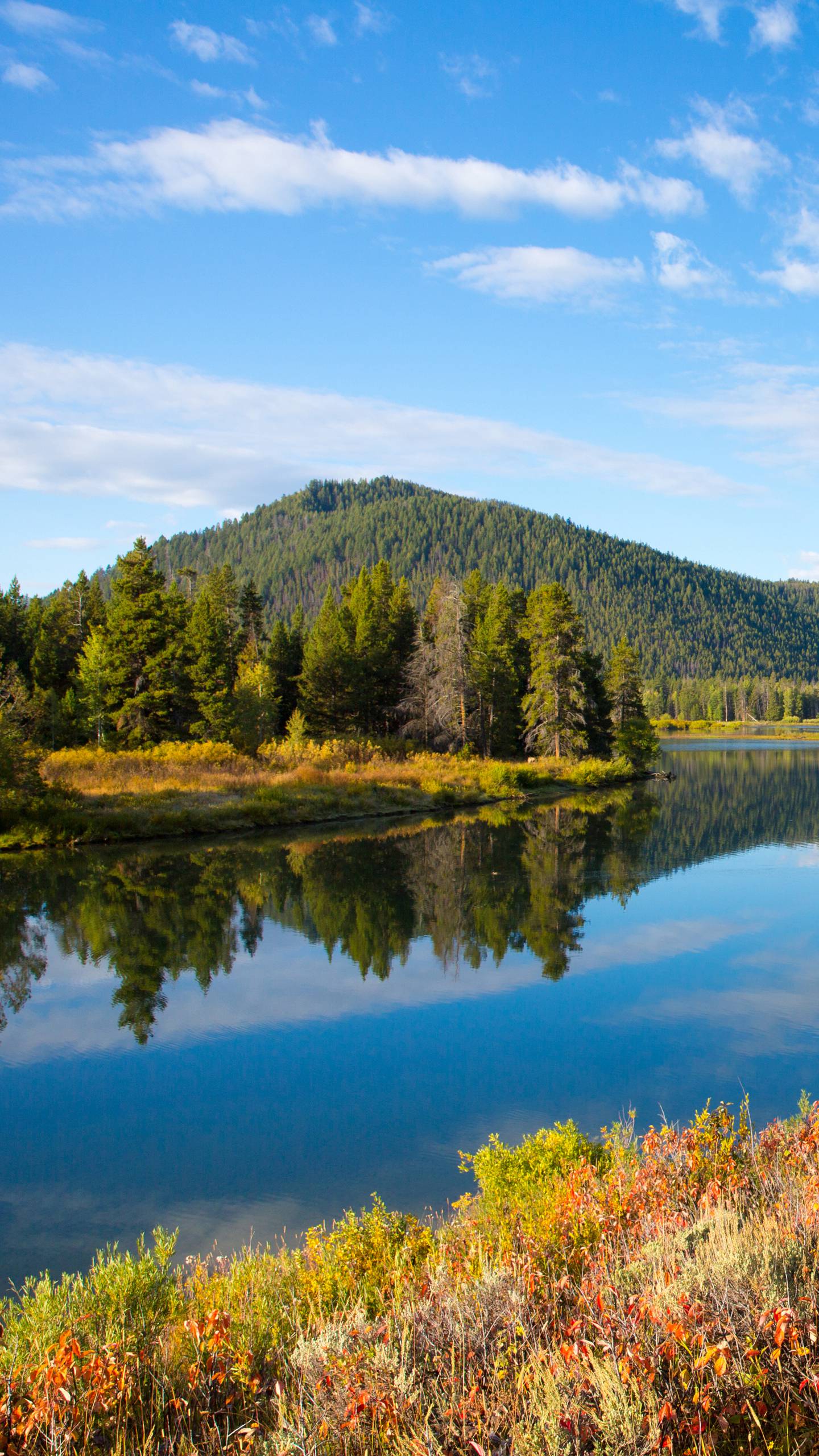 Novakemp Rouchovany foto 2