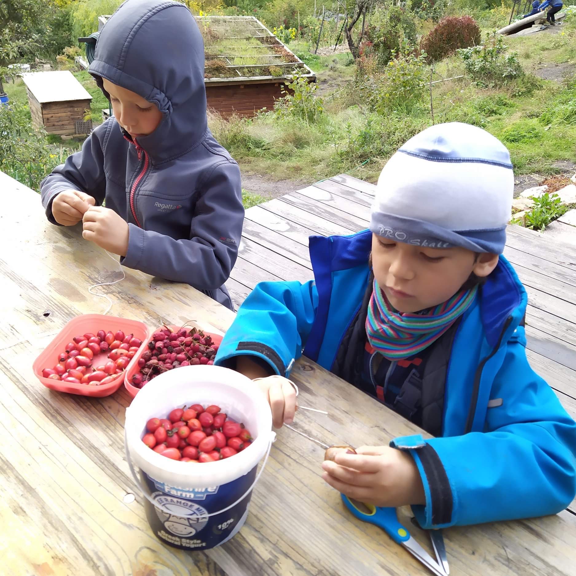 Dětská zahradní školka Kuchyňka foto 6