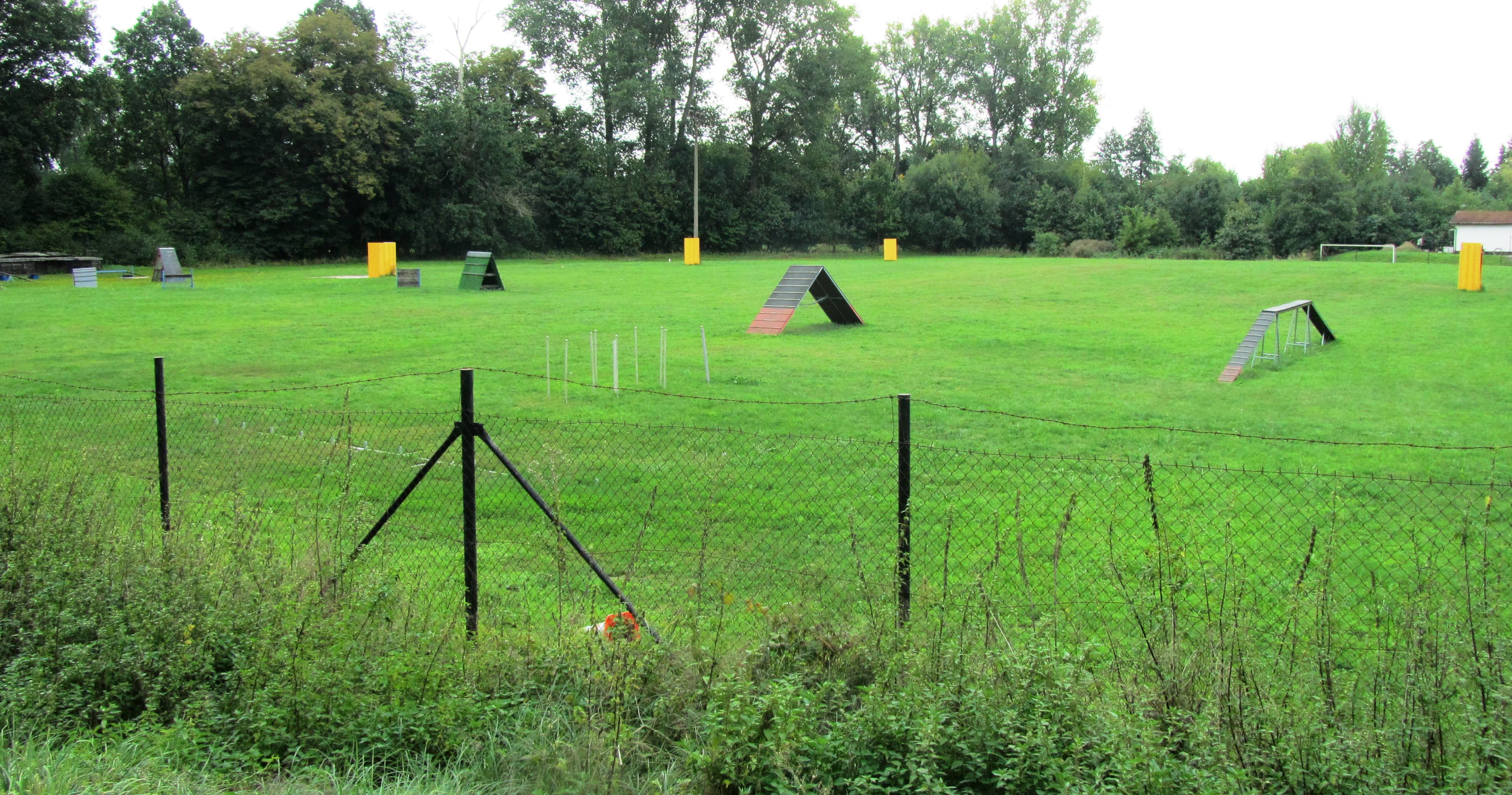 Český kynologický svaz základní kynologická organizace Pardubice - Nemošice 091 foto 5