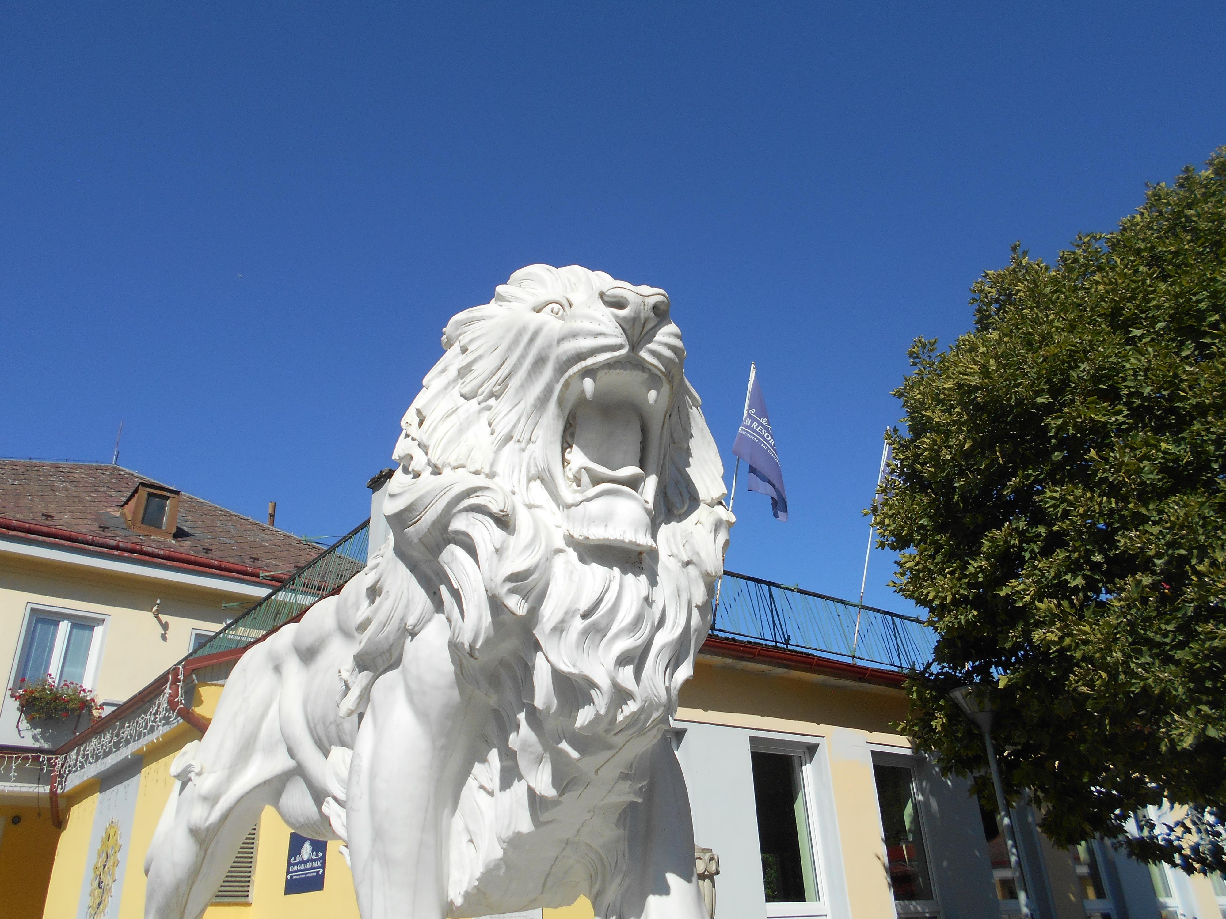 Clam-Gallasův Palác - Spa Resort Libverda foto 2