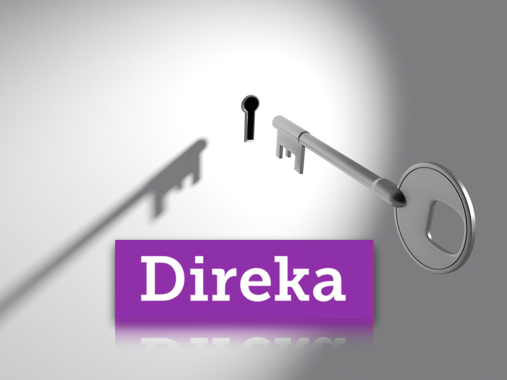 DIREKA foto 4