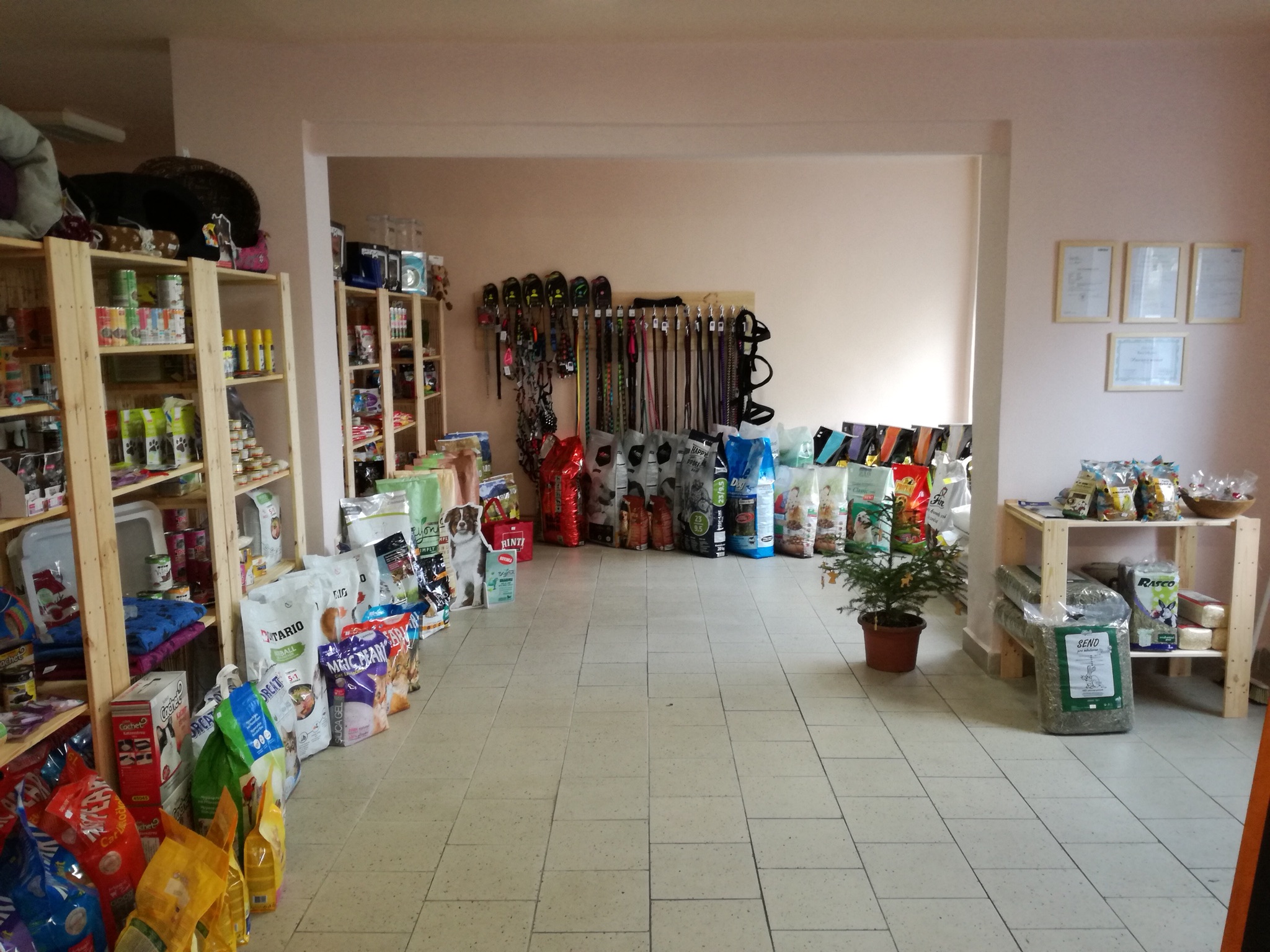 Petra Šlajsová foto 6