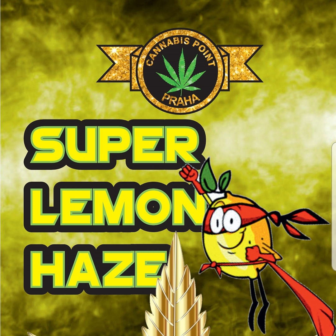 Weed Shop foto 3