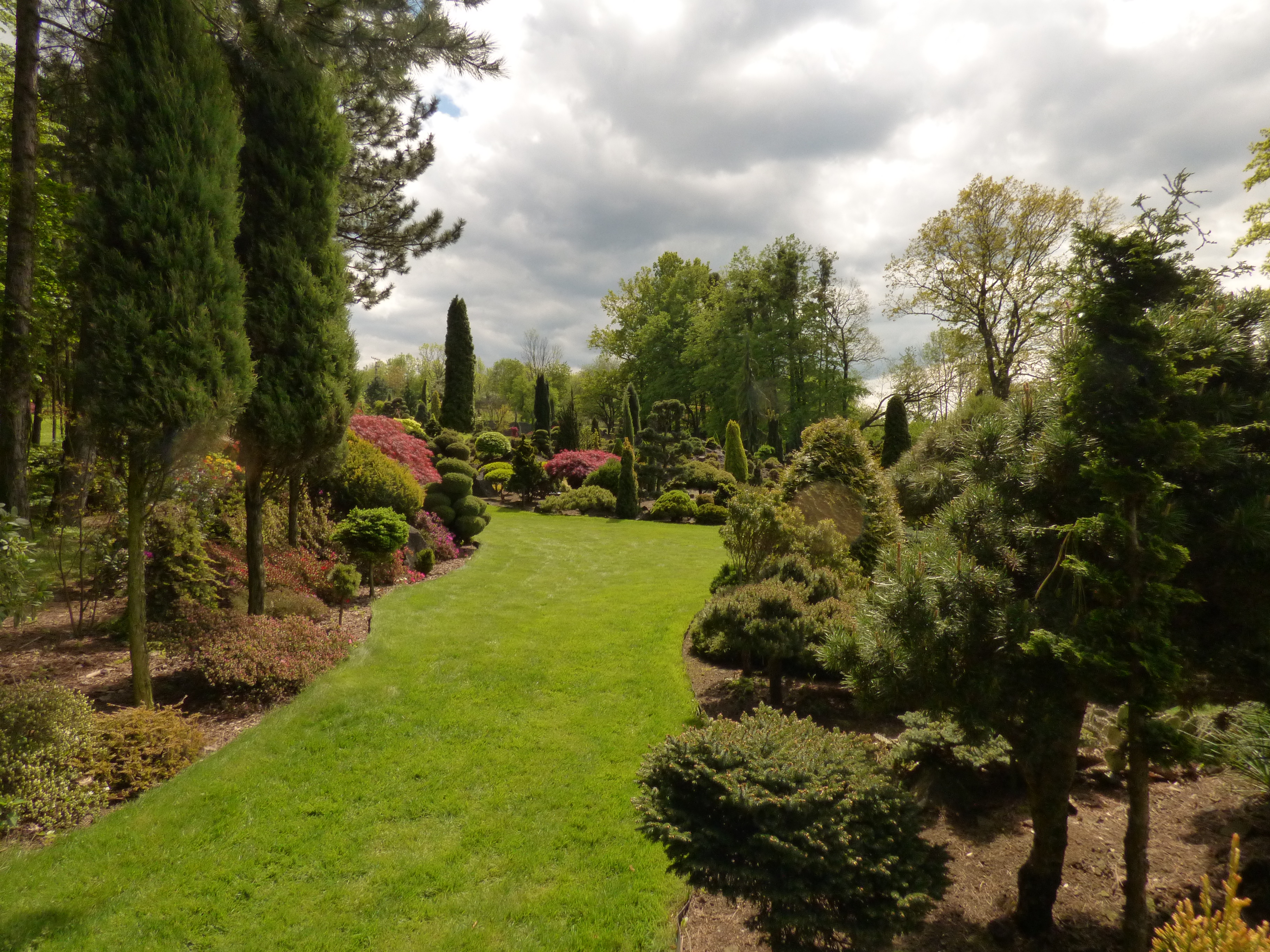 Miniarboretum