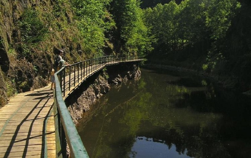 Penzion Protěž foto 4