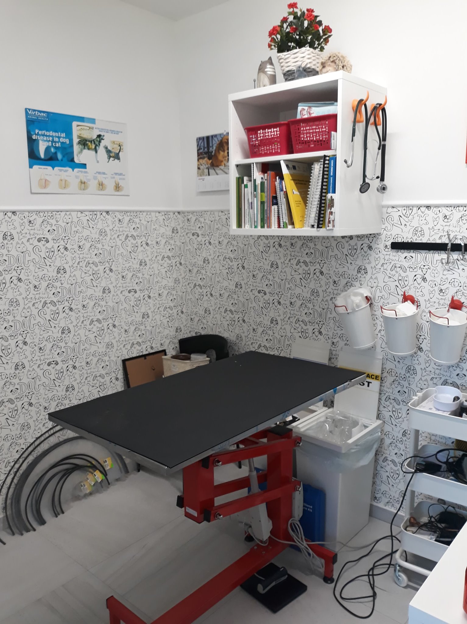 Veterinární ordinace BoleVET foto 3