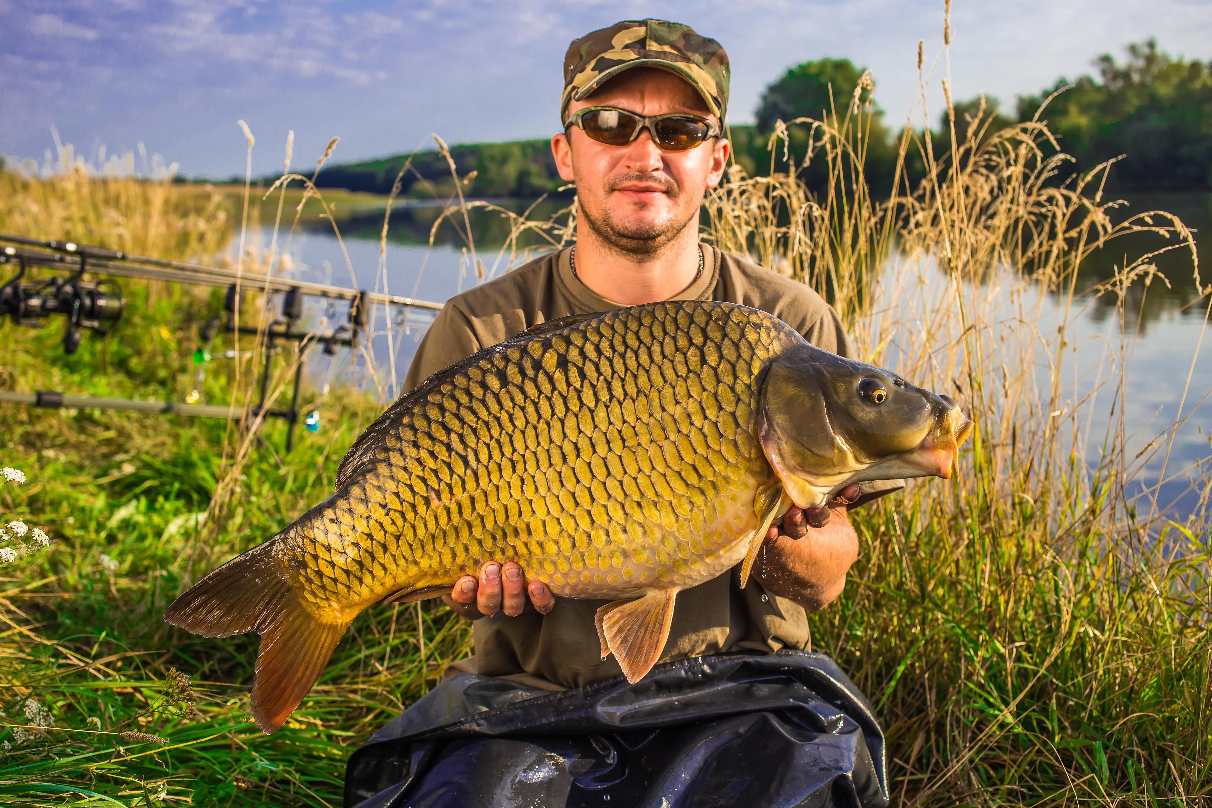 Hledáte chatu k pronájmu blízko vody na rybaření?