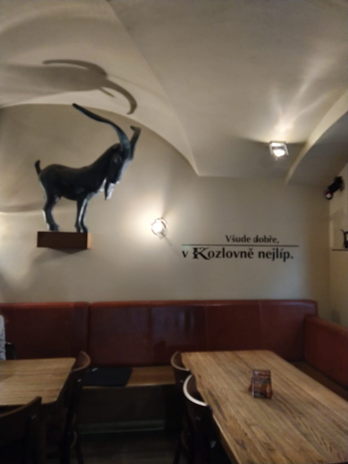 Kozlovna Měšťan foto 2