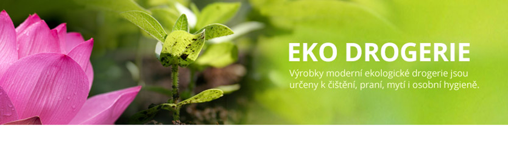 Bakterie-enzymy.cz foto 5