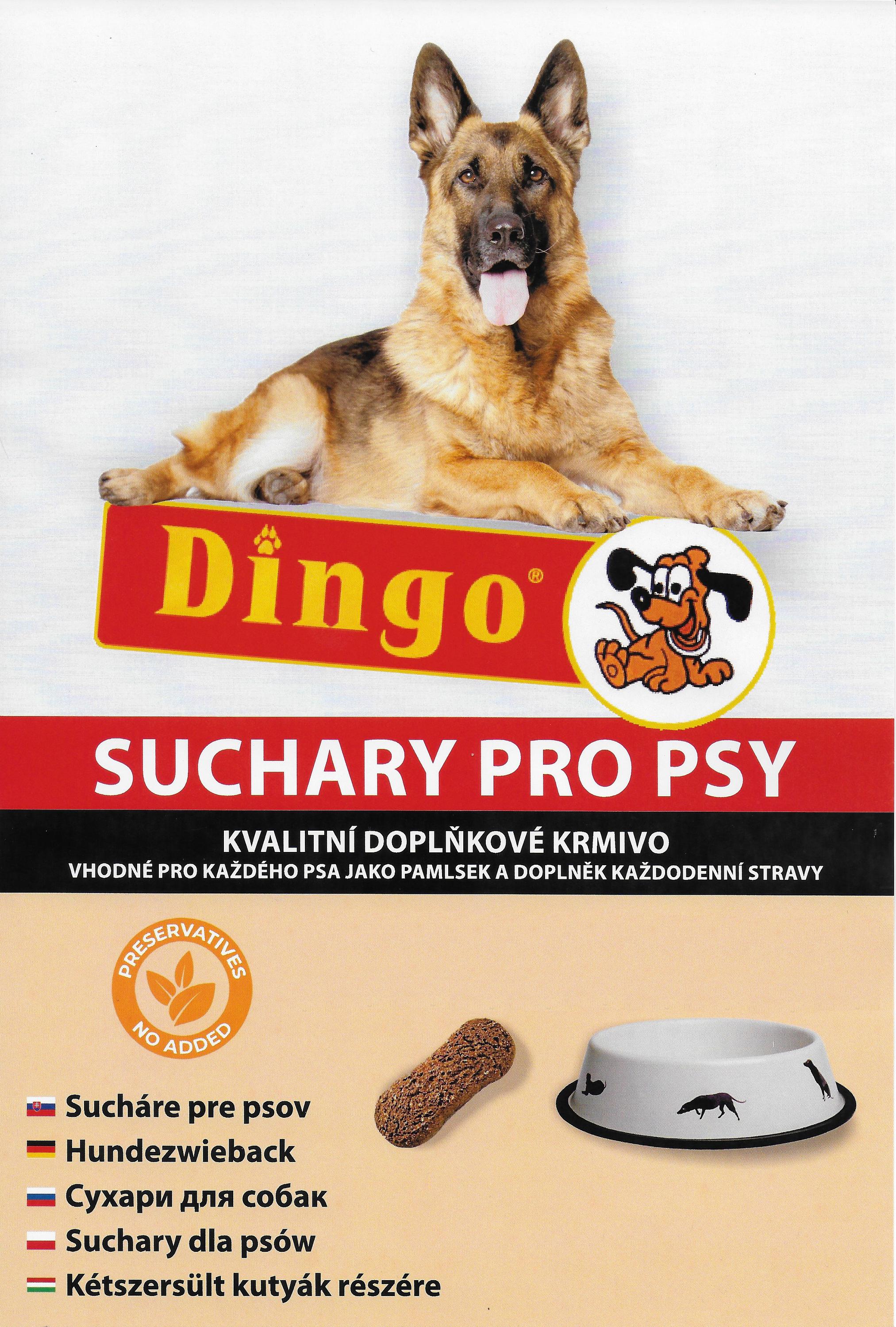 Dingo-liten.cz foto 2