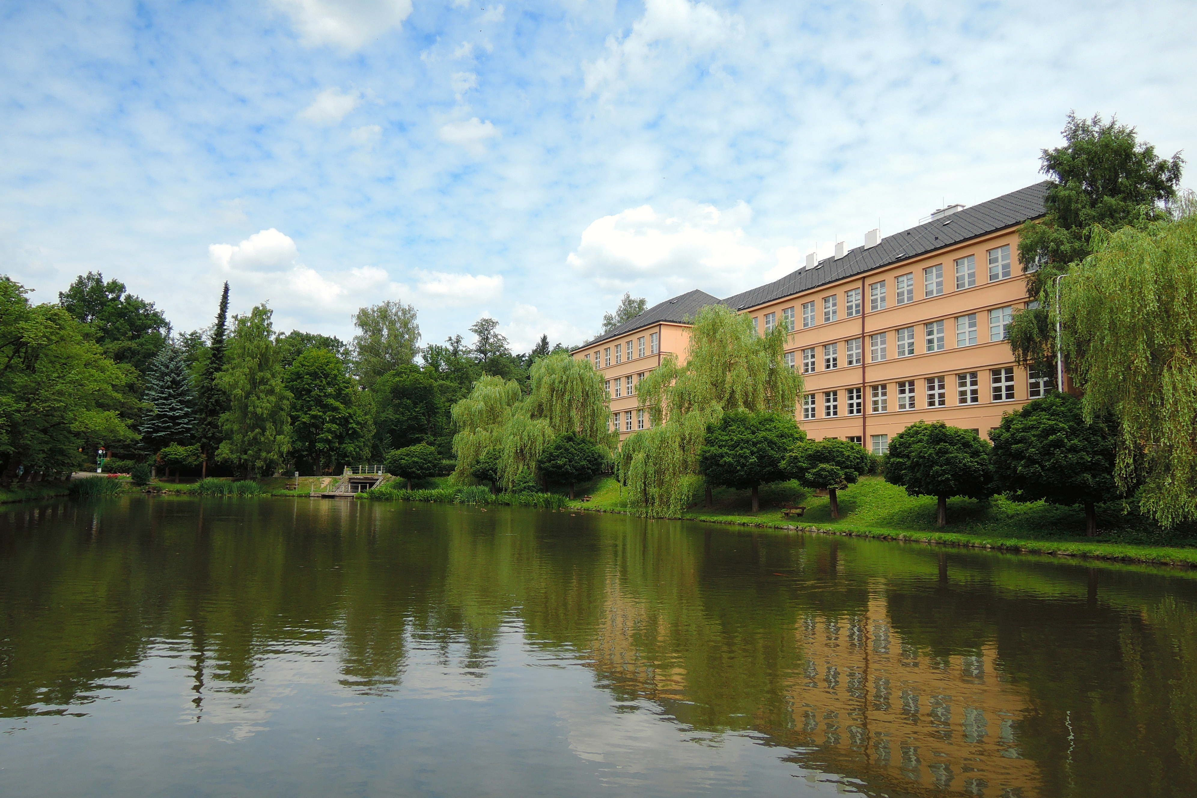 Základní škola Havlíčkův Brod, V Sadech 560 foto 6