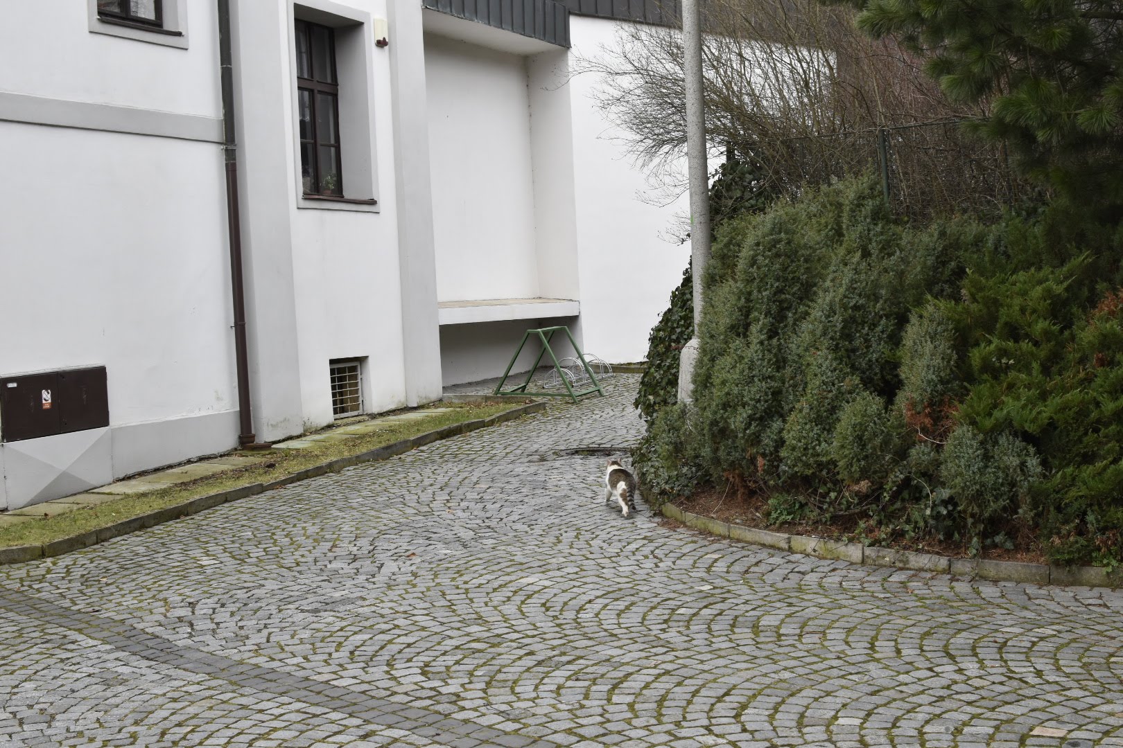 Městská knihovna Ústí nad Orlicí foto 4