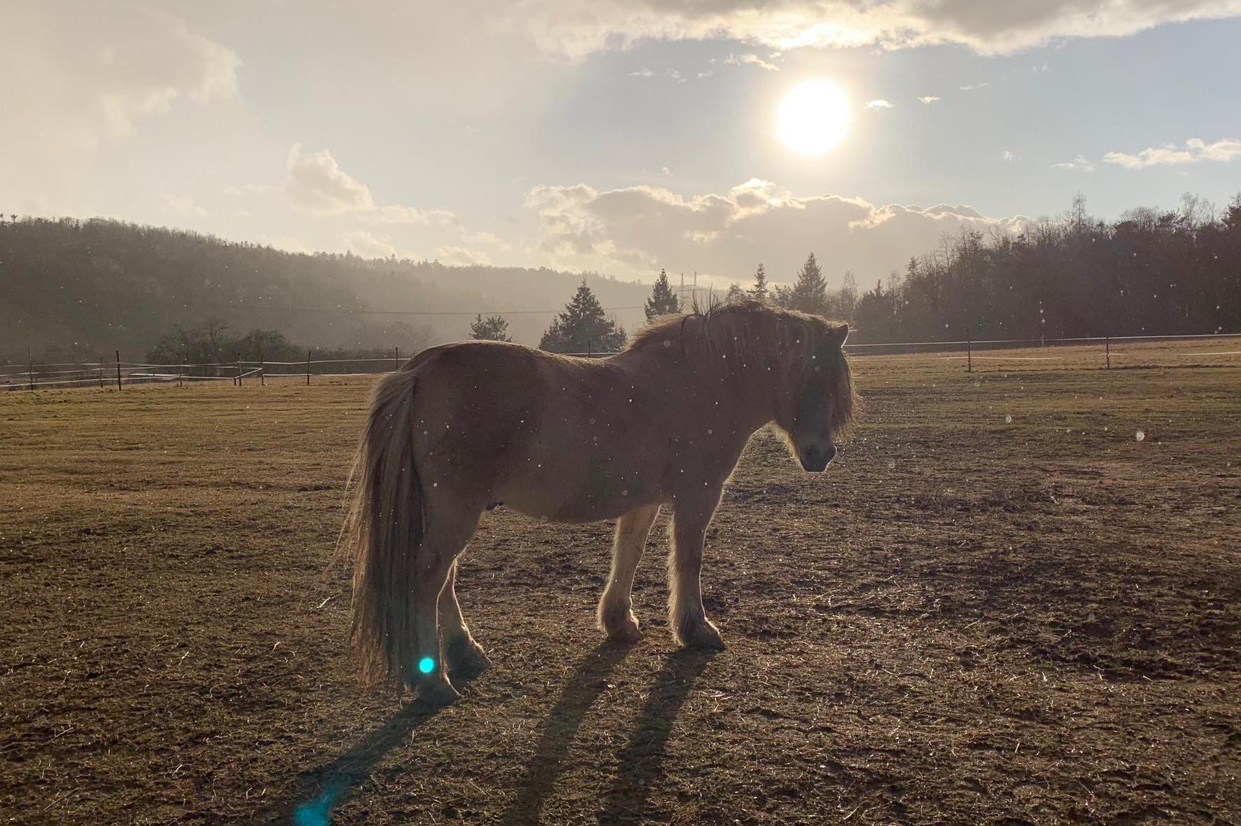 Jezdecký areál Míšánek z.s.