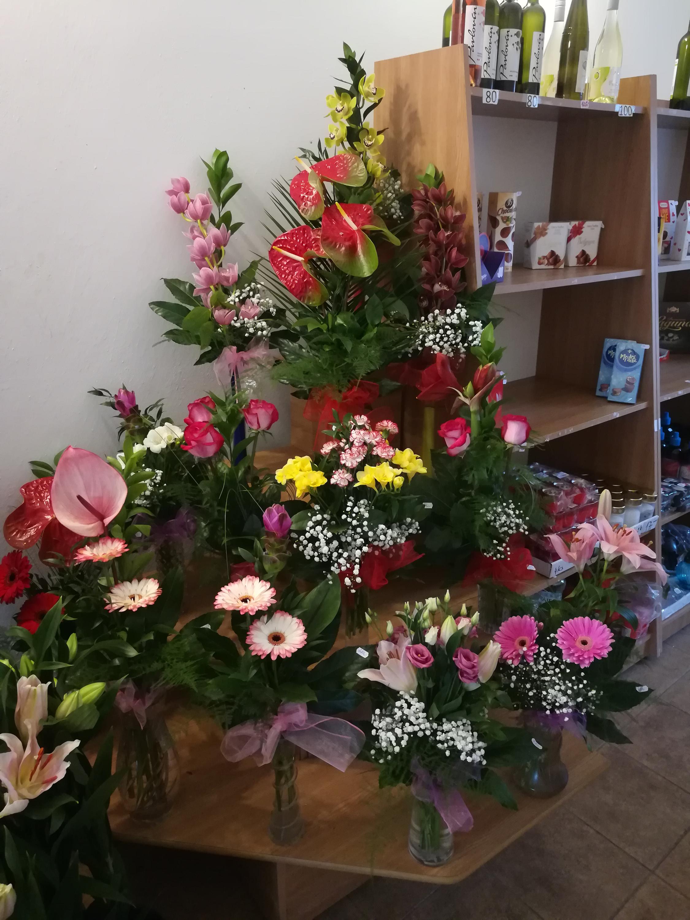 Irma Sládková foto 3