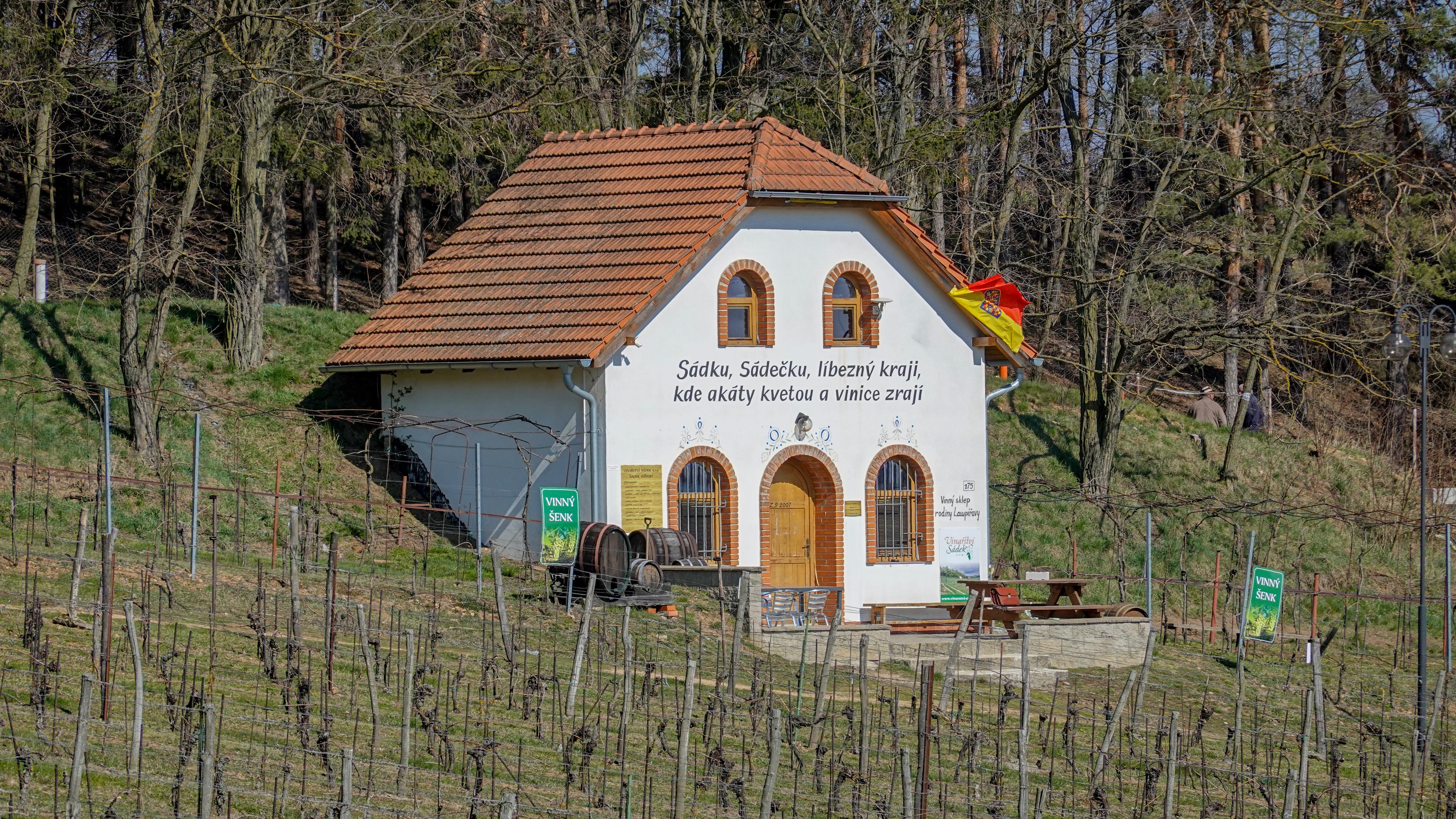Vinařství Sádek *** foto 5