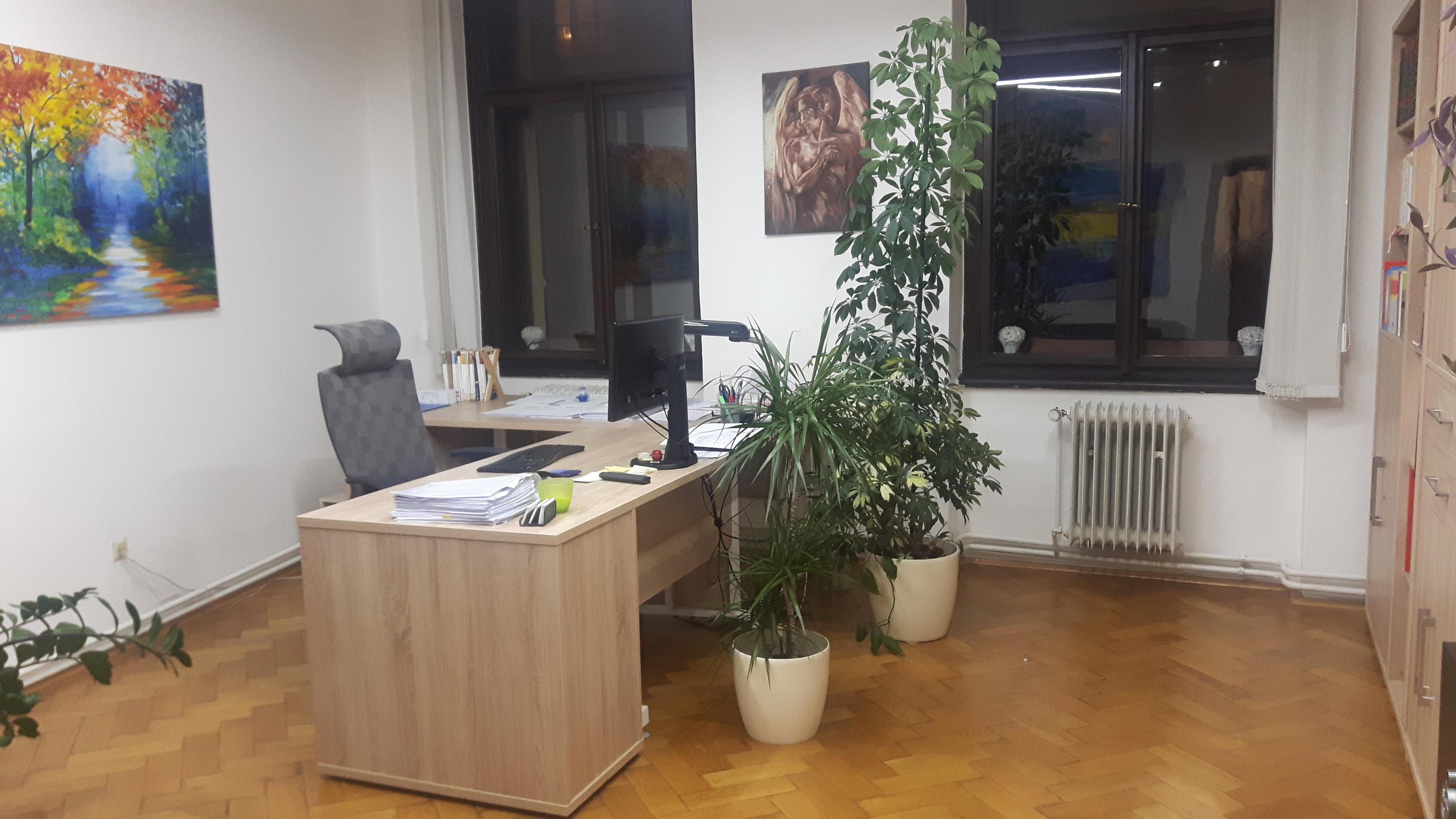 JUDr. Kateřina Dlouhá, advokátka foto 4