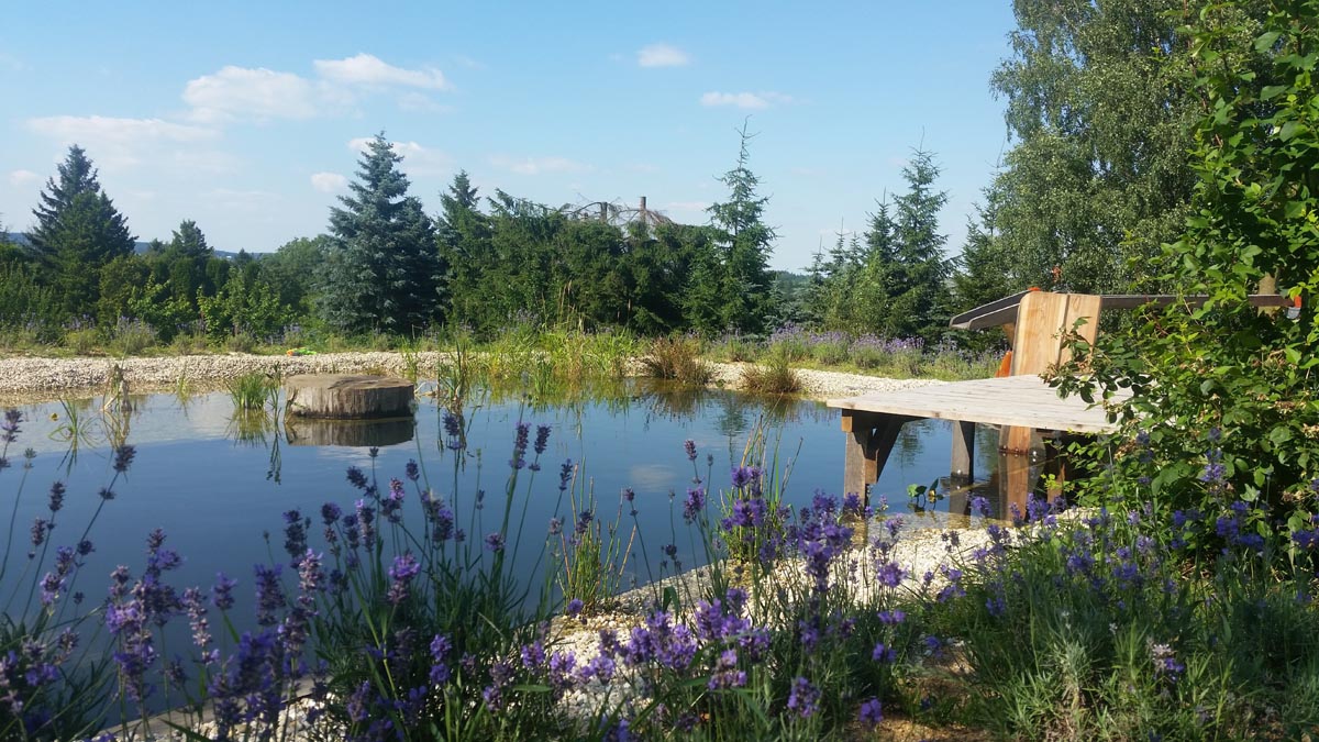 Apartmán Kamenná Horka foto 4