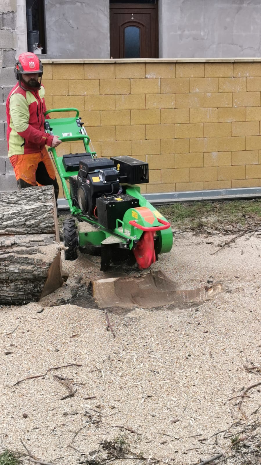 Martin Jireš - rizikové kácení stromů foto 4
