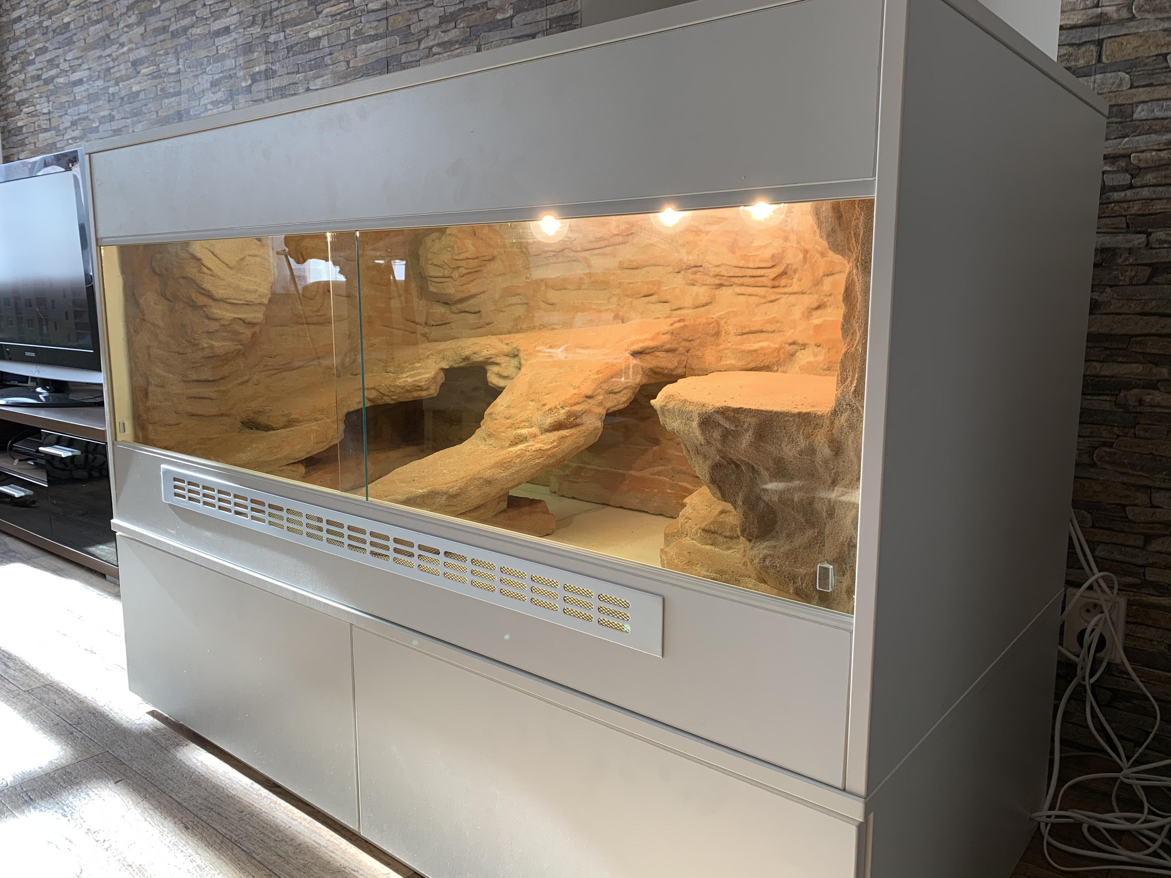 bb-terarium foto 4