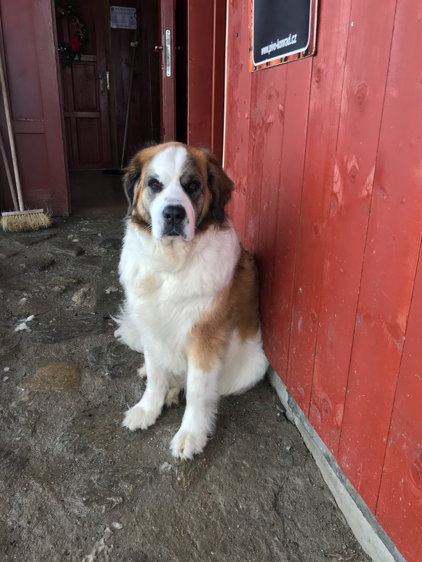 Minipivovar Na Perlíčku – Prdek foto 2