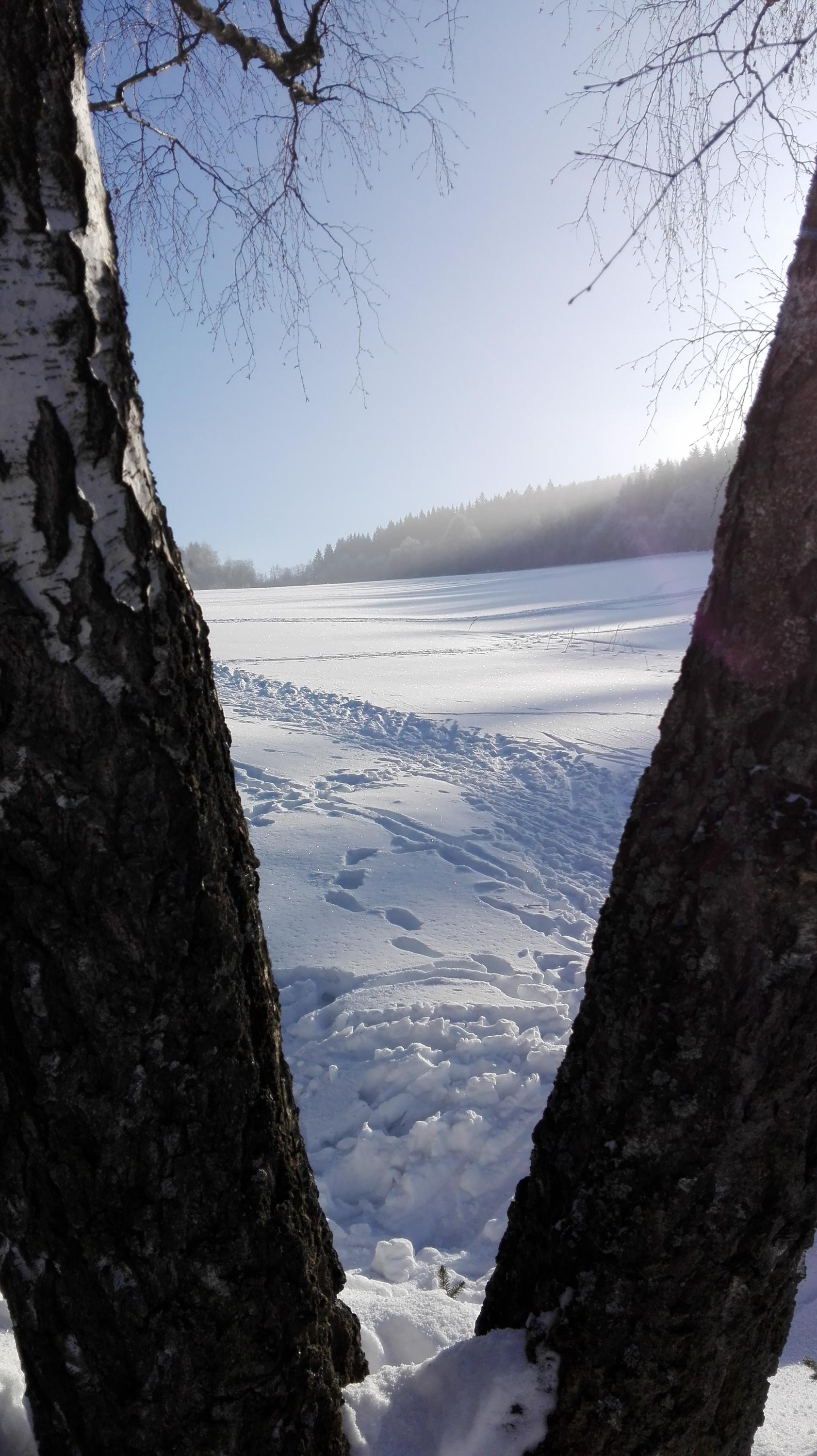 Chata Čenkovice foto 4