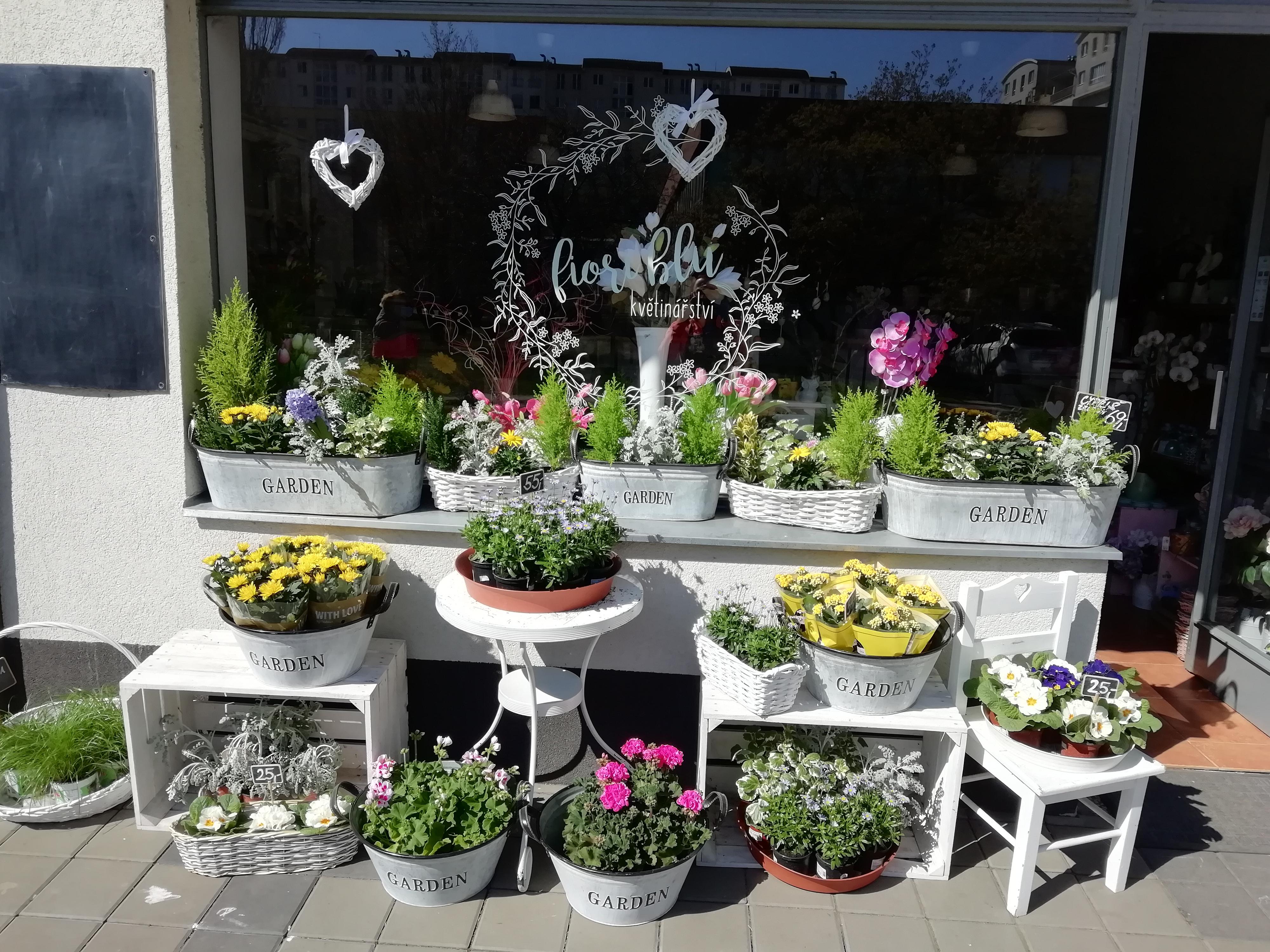 Fiori Blu Nebeské Květinářství