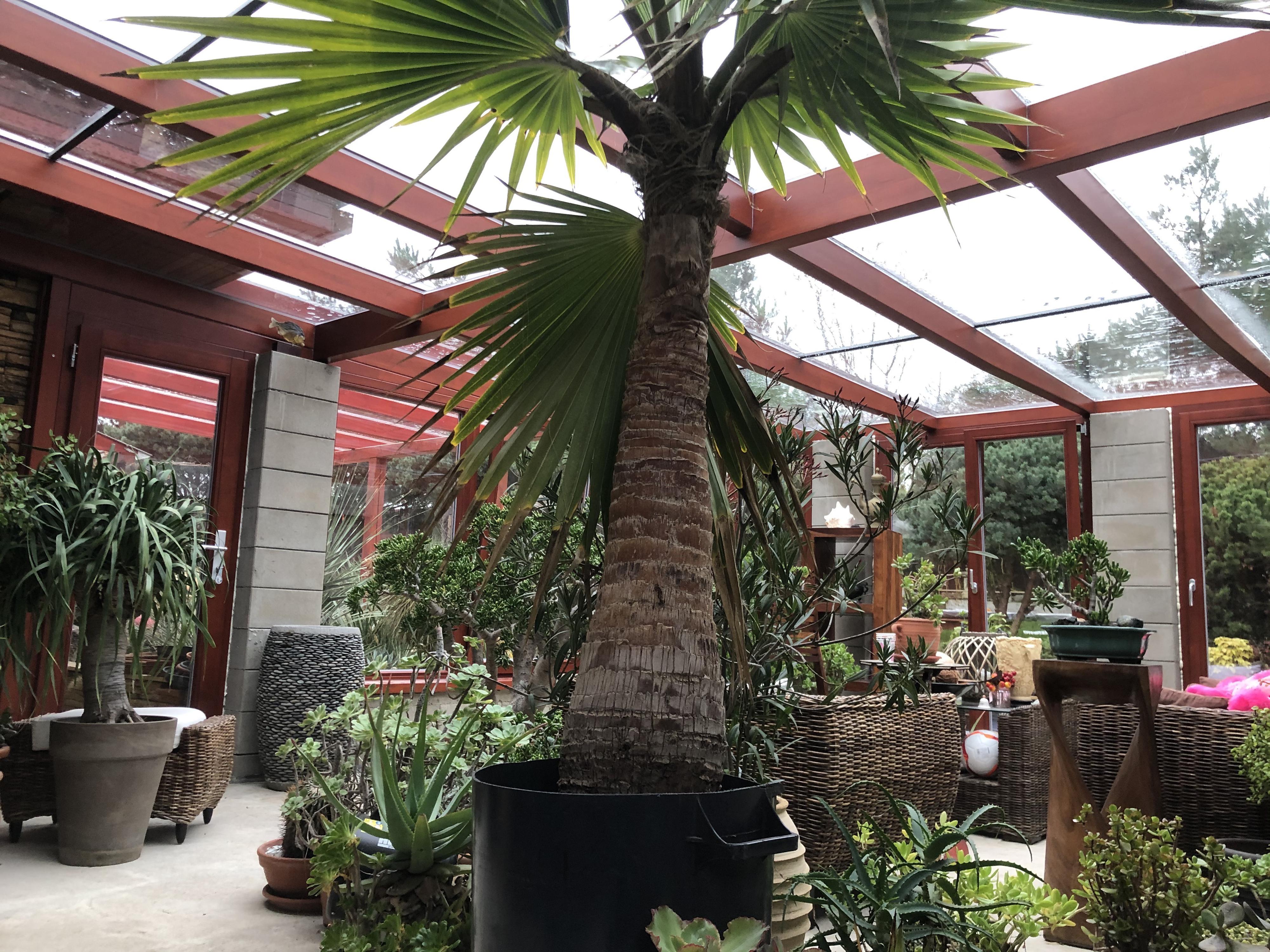 OKNA - Josef Horký foto 3