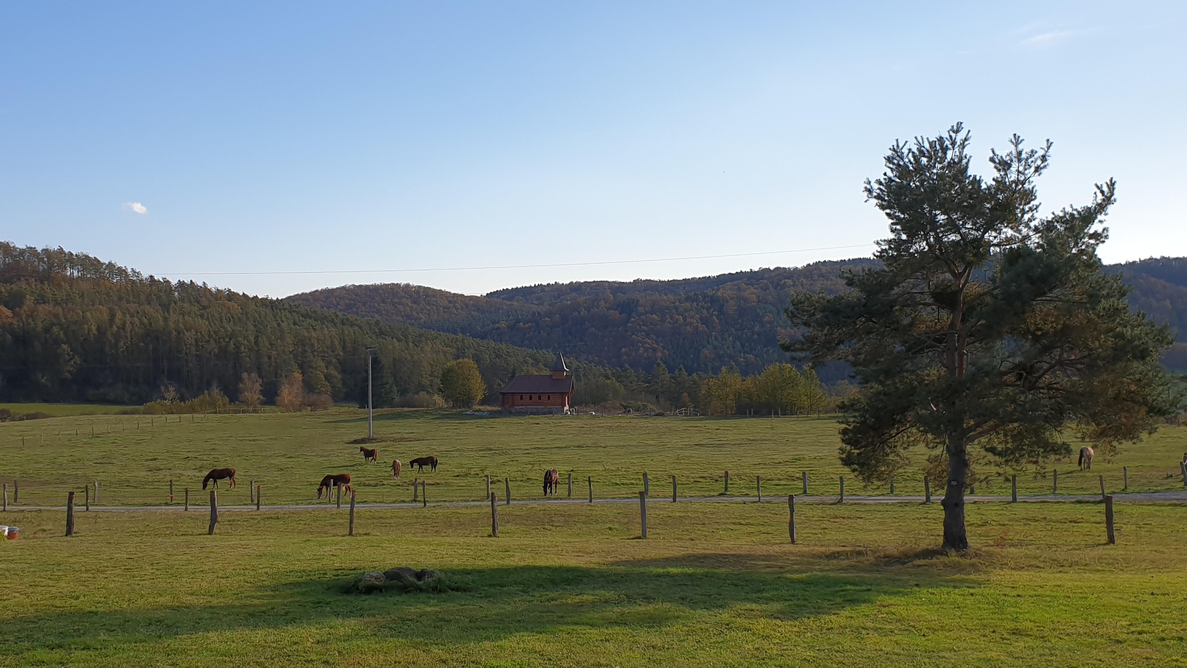 Ranč v Buši foto 4