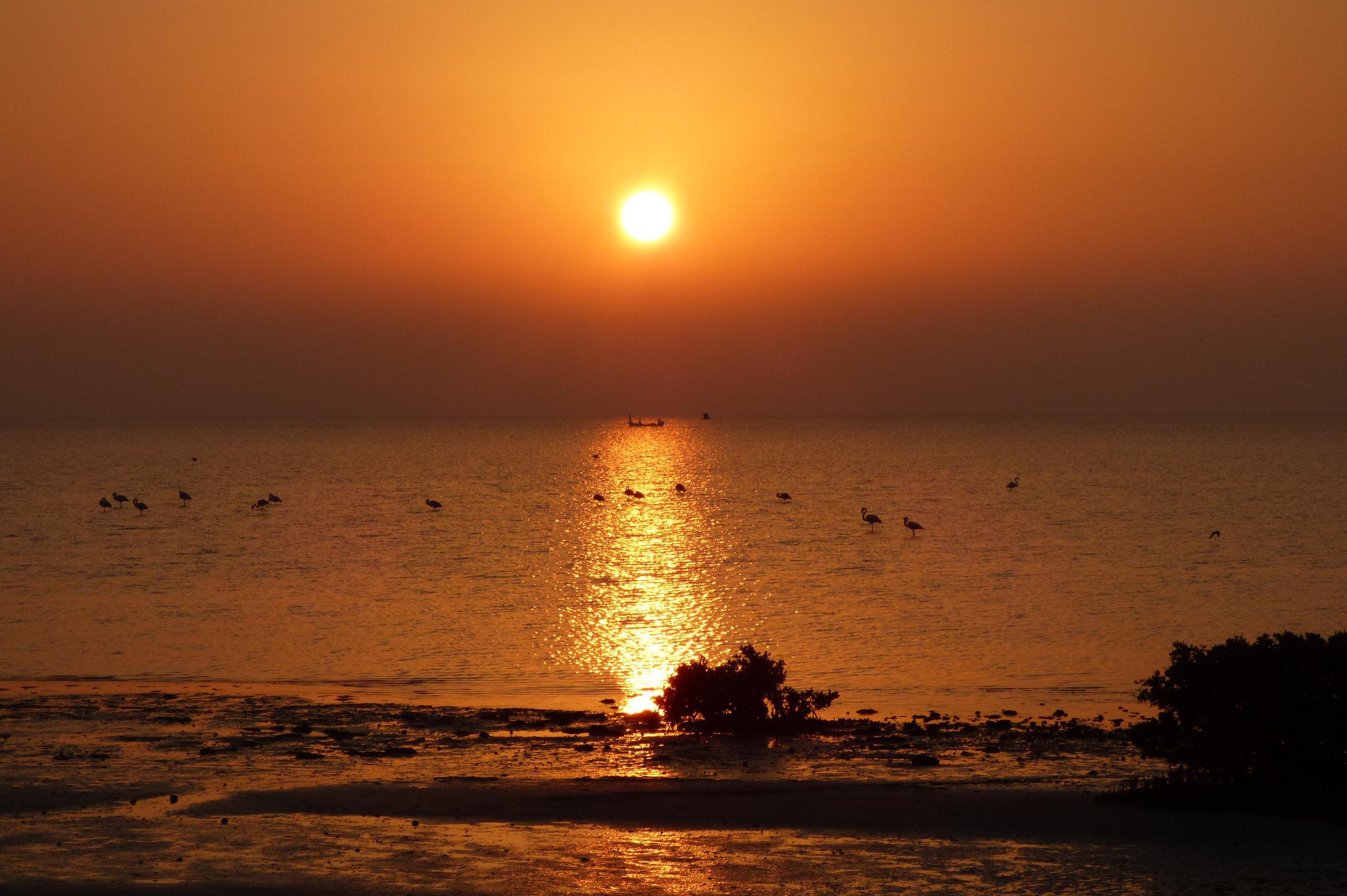 Expedice-woodcraft.eu