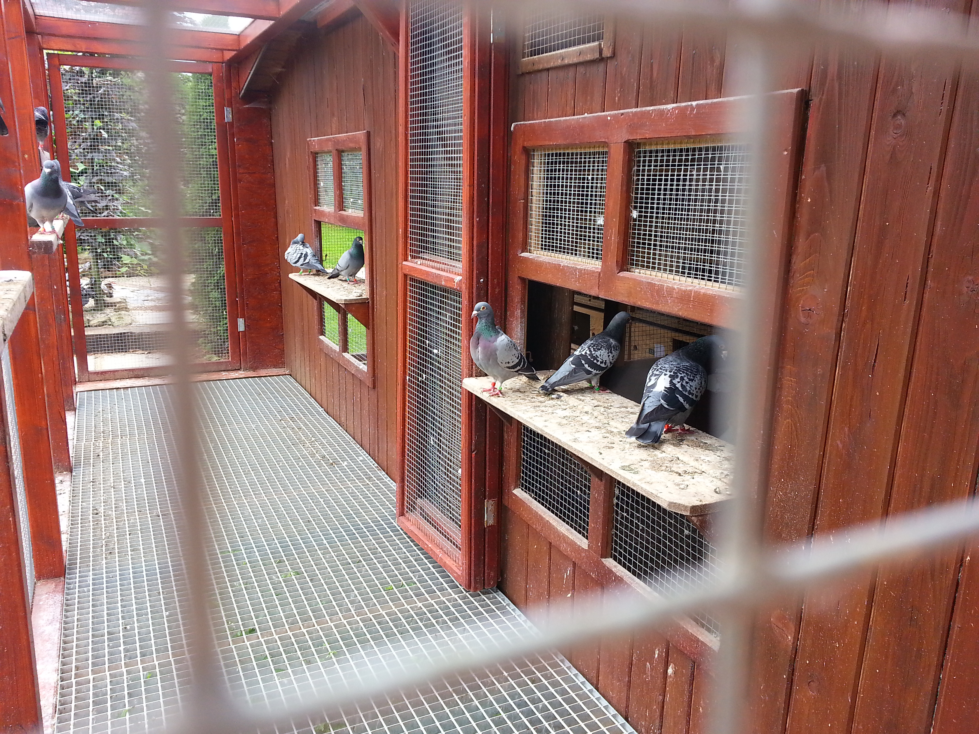 Králičí svět - MIFUMA.CZ foto 3