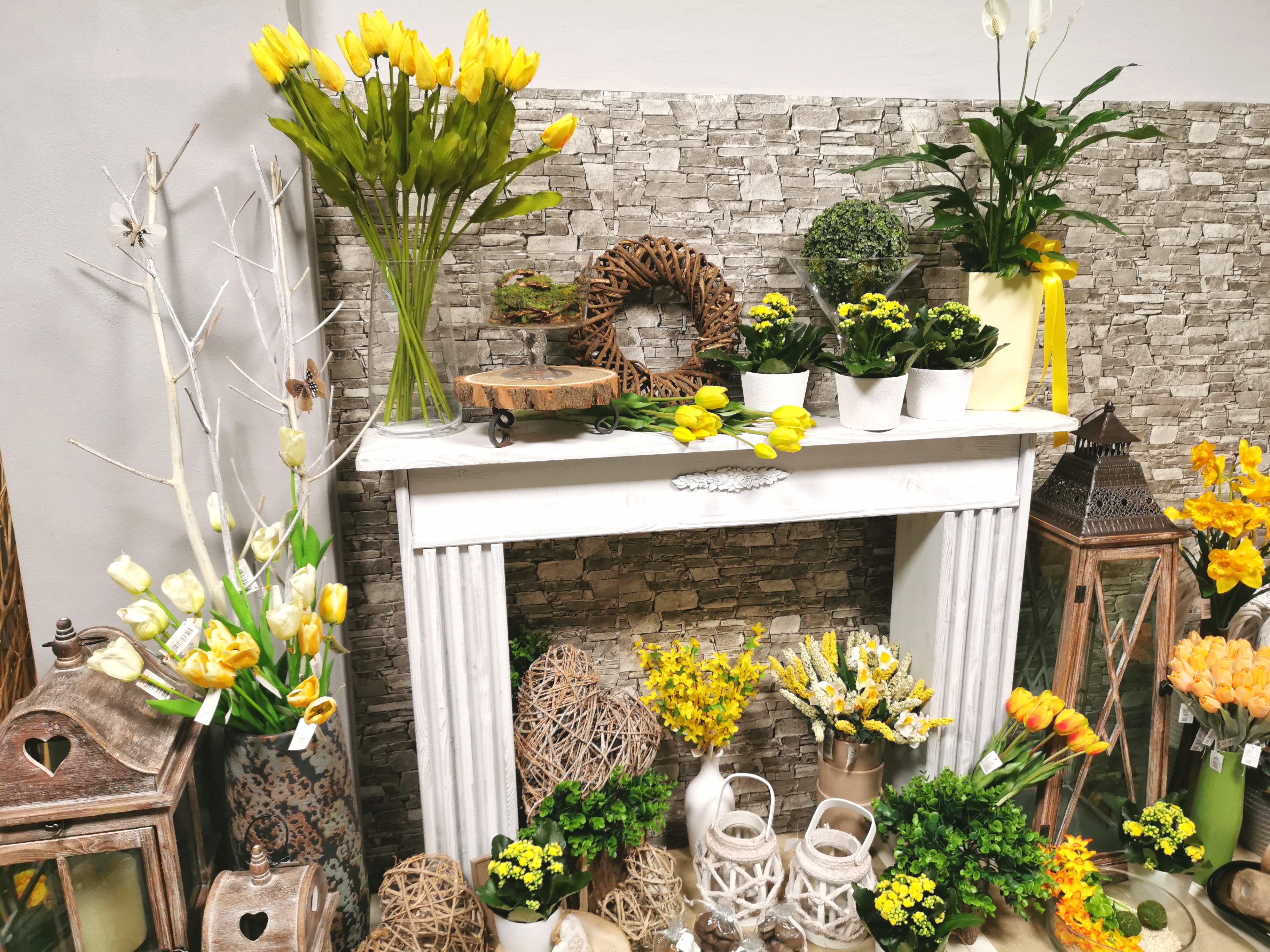 Květiny David Lazar