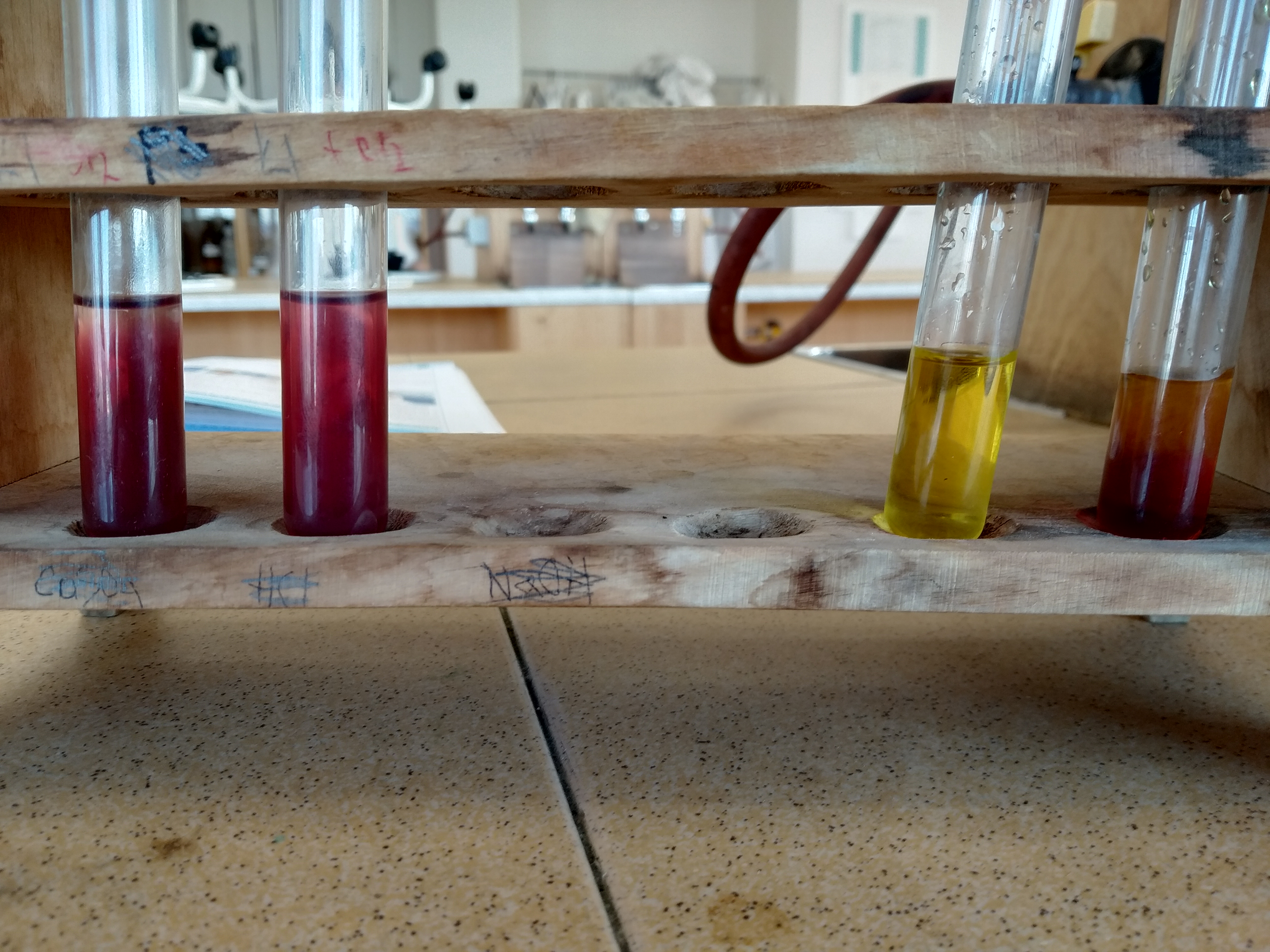 Gymnázium Sokolov a Krajské vzdělávací centrum foto 2