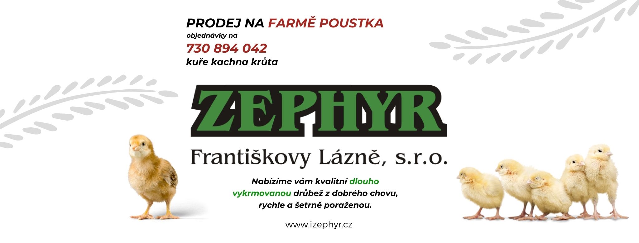 ZEPHYR Františkovy Lázně foto 5