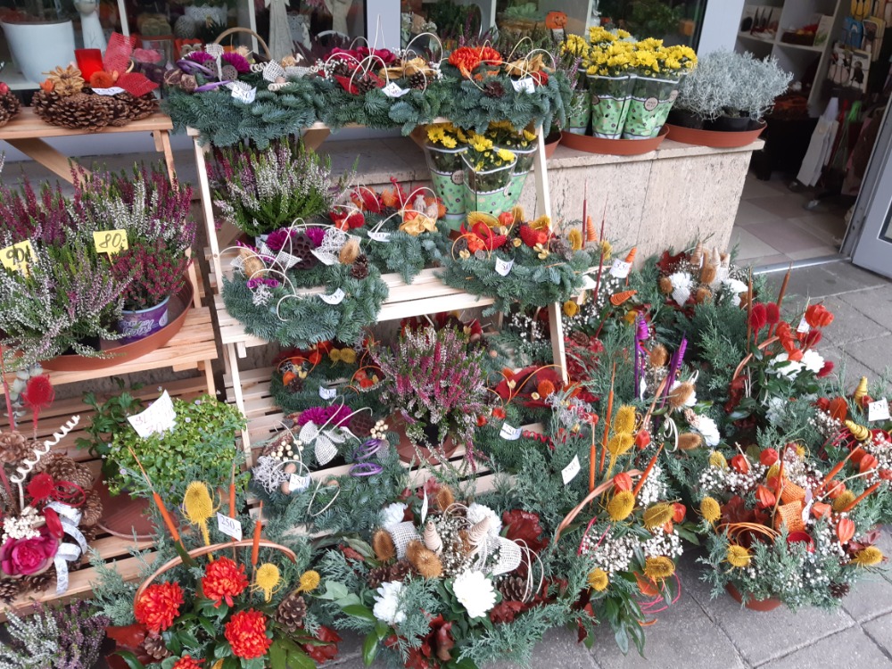 Bezva Kytka - Věra Magdonová foto 2