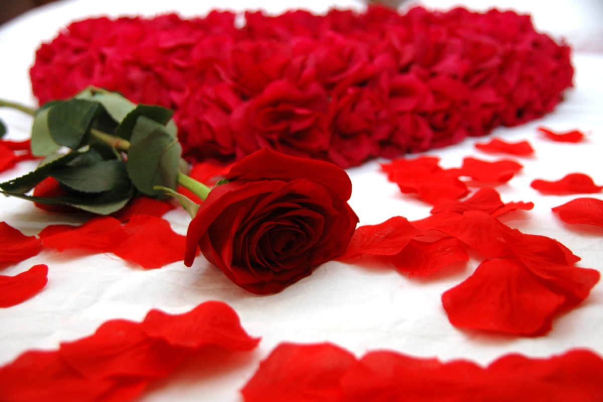 AZYL pro milence, hodinový hotel