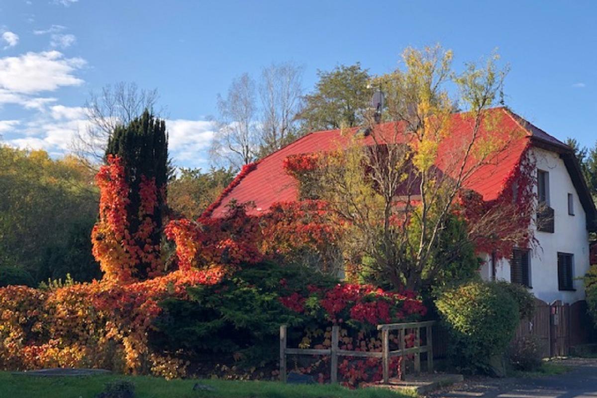 DP korekt servis czech