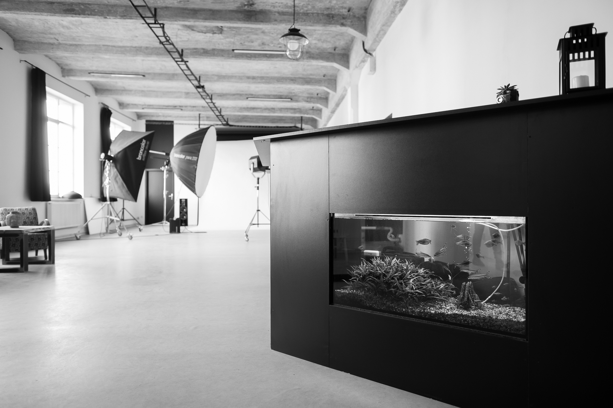 Pinarto – creative studio foto 3