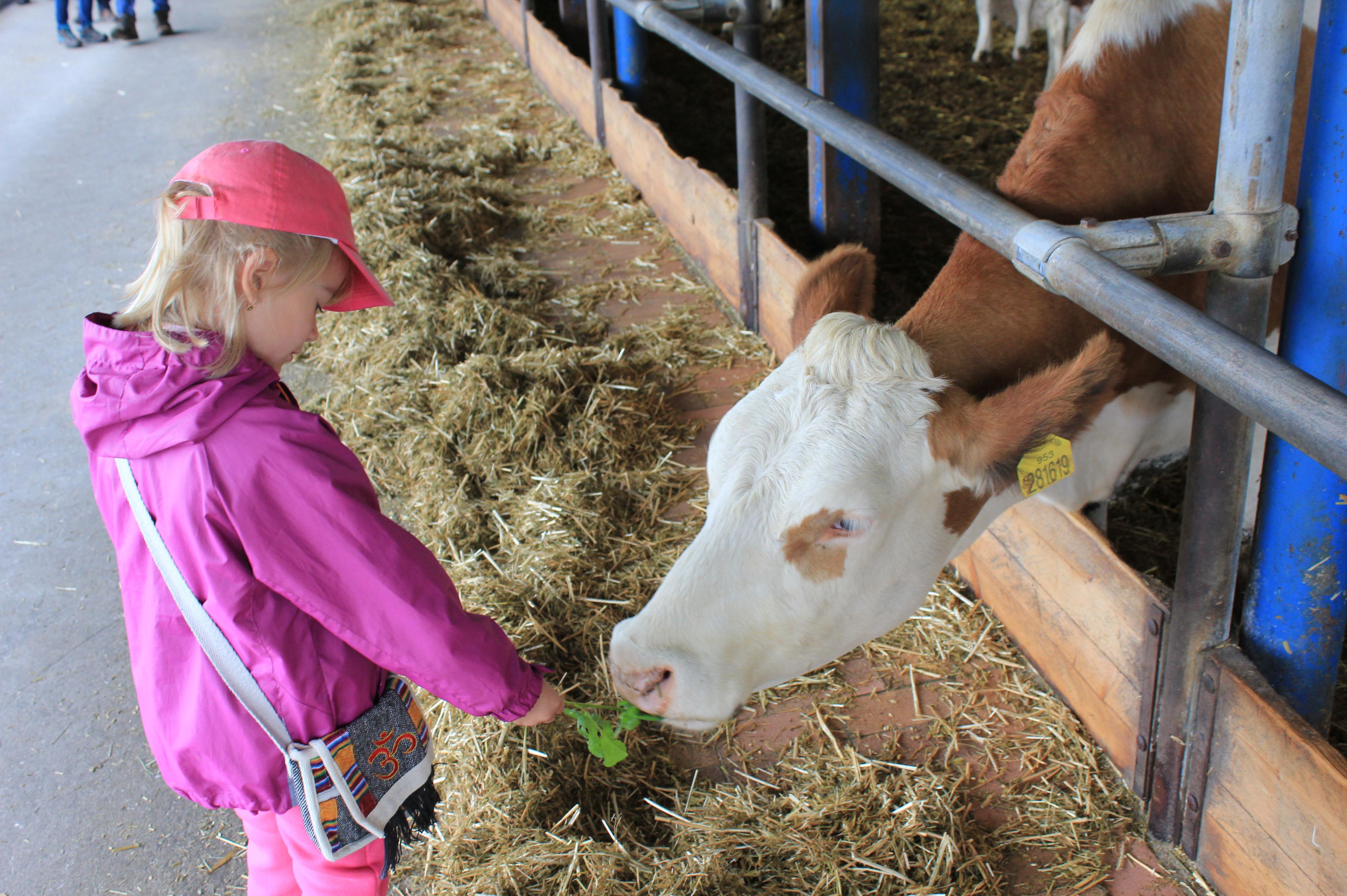 Zemědělsko obchodní družstvo Zálší, družstvo