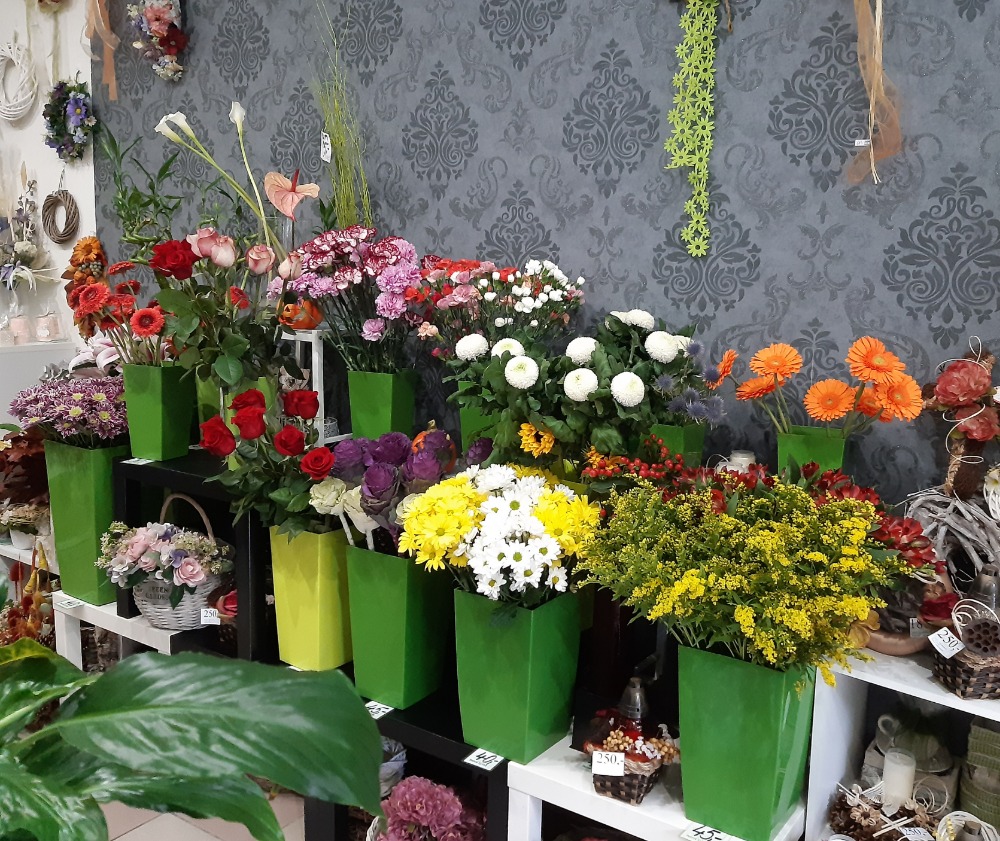 Bezva Kytka - Věra Magdonová foto 3