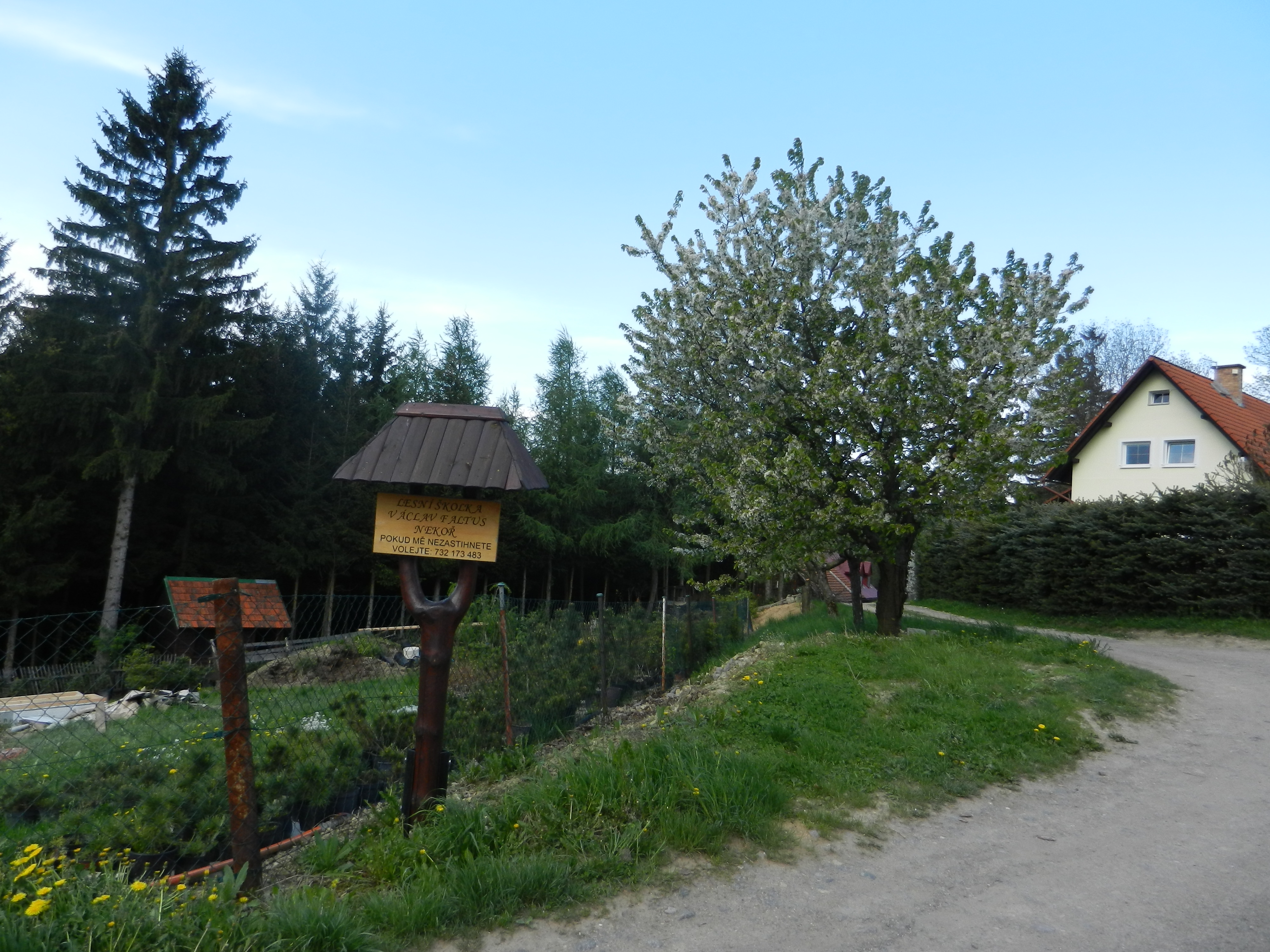 Václav Faltus - Lesní školka Nekoř foto 3