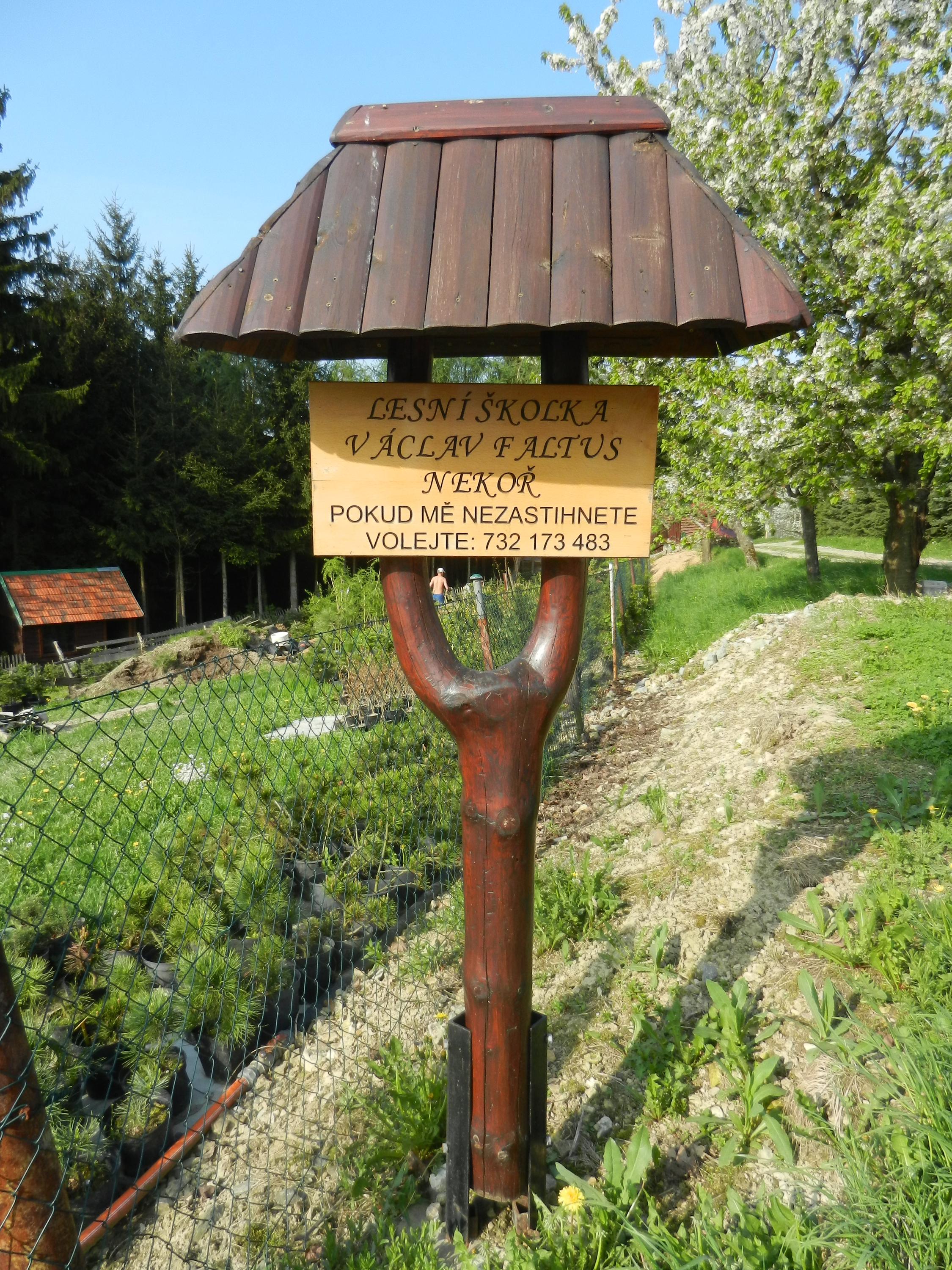Václav Faltus - Lesní školka Nekoř foto 2