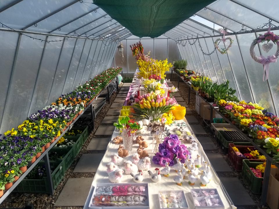 Zahradnictví Florana foto 4