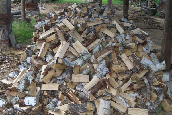 Štípané: Kompletní průvodce světem kvalitního dřeva
