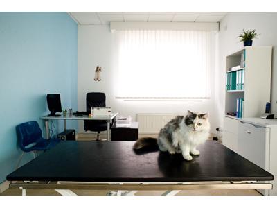 Veterinární klinika Zvířecí doktor foto 2