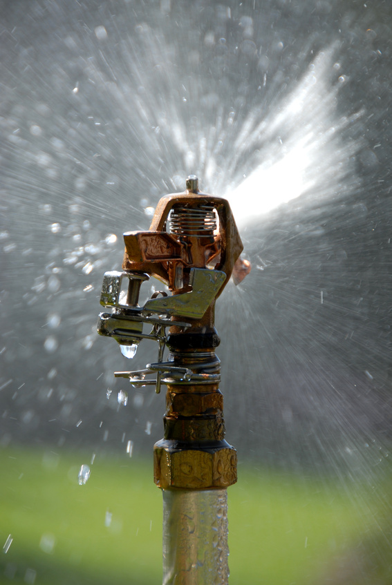 AGROGARDEN zahradnické služby foto 2