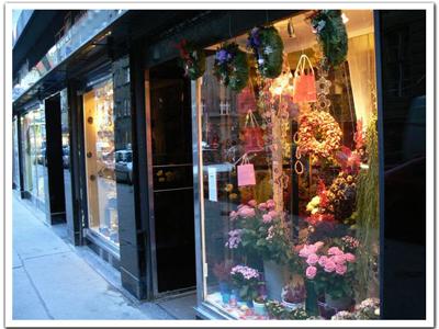 Pražská růže - Kateřina Poličová foto 2